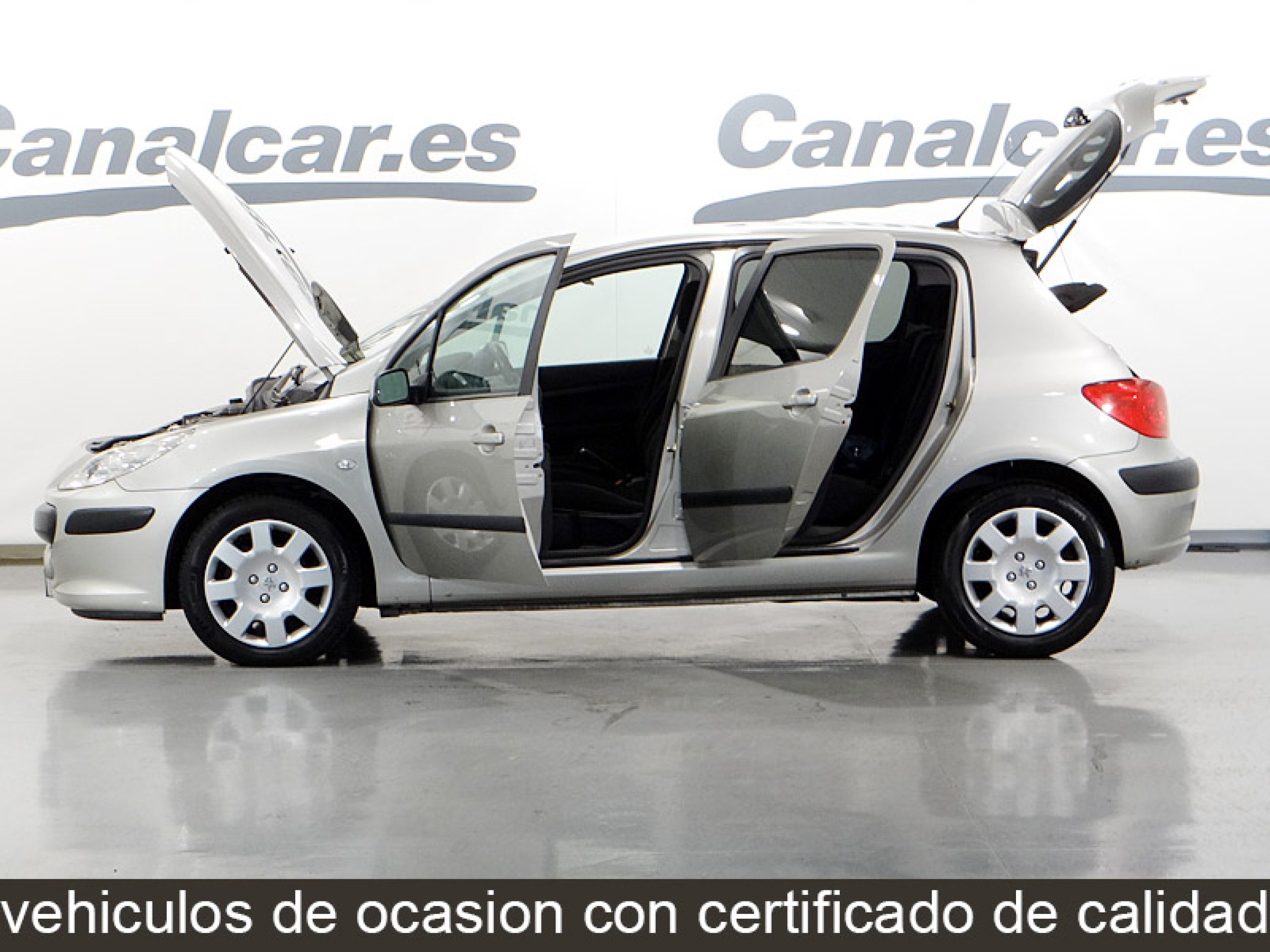 Foto Peugeot 307 11