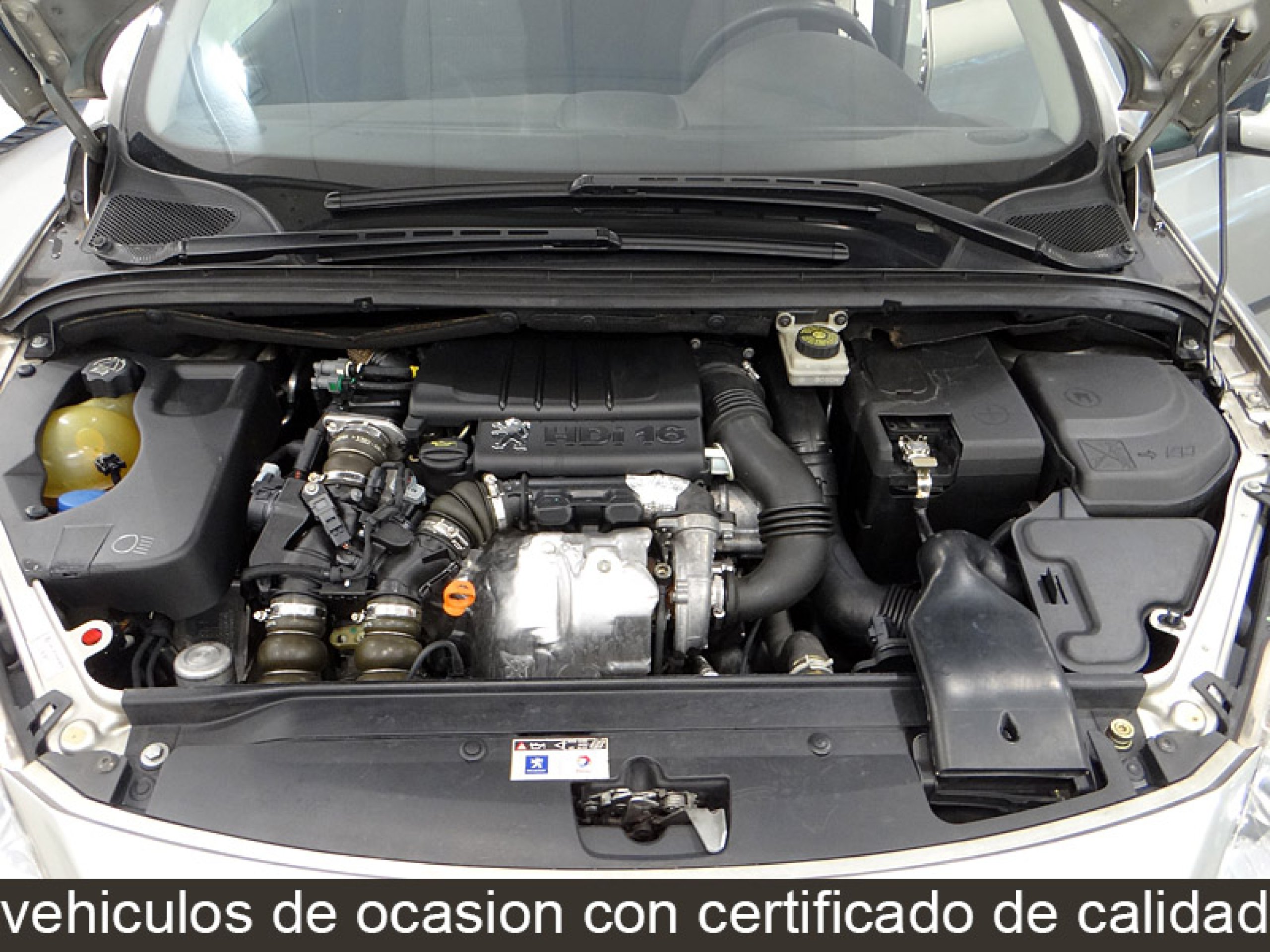 Foto Peugeot 307 12