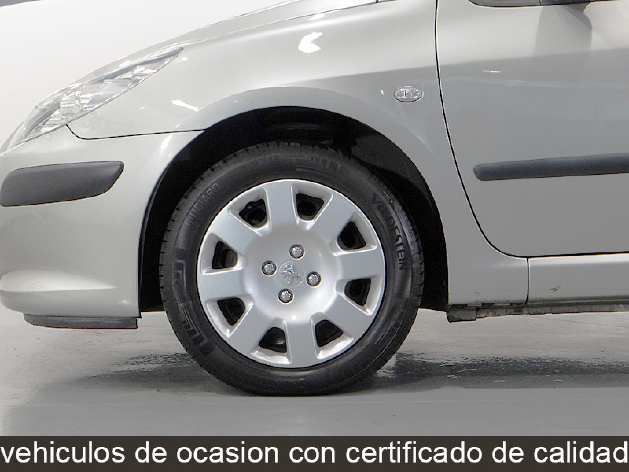 Foto Peugeot 307 14
