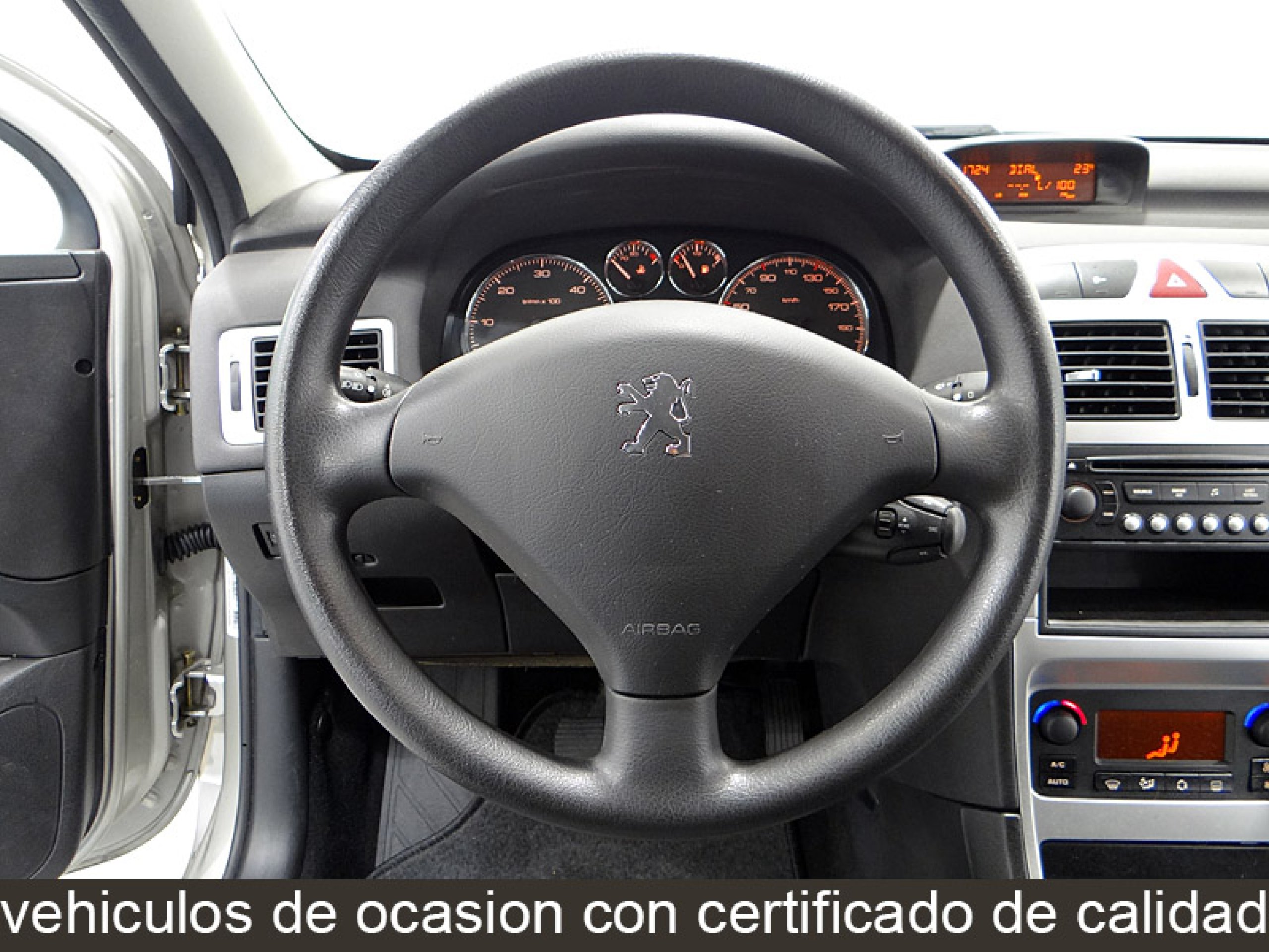 Foto Peugeot 307 30