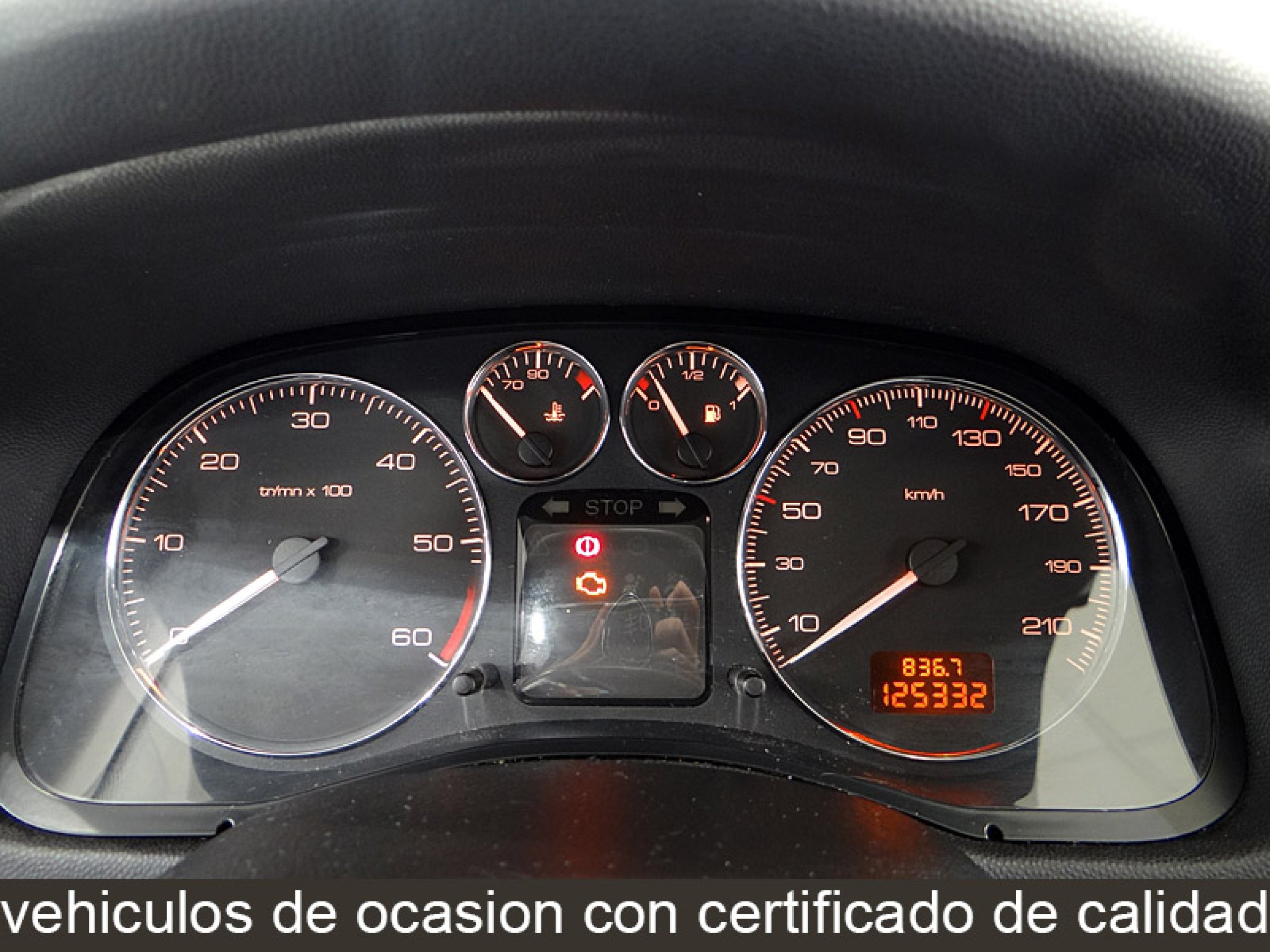 Foto Peugeot 307 33