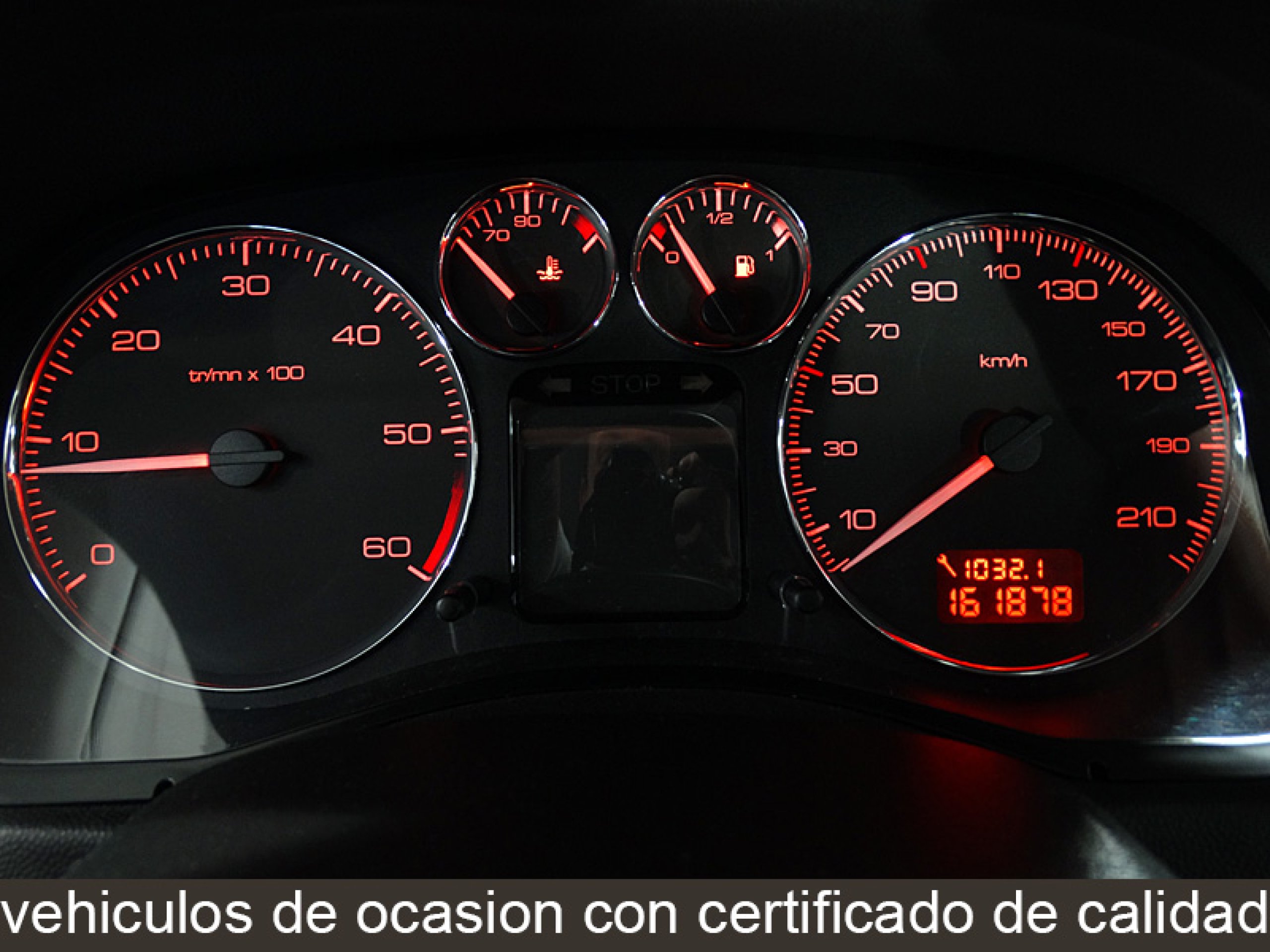 Foto Peugeot 307 13
