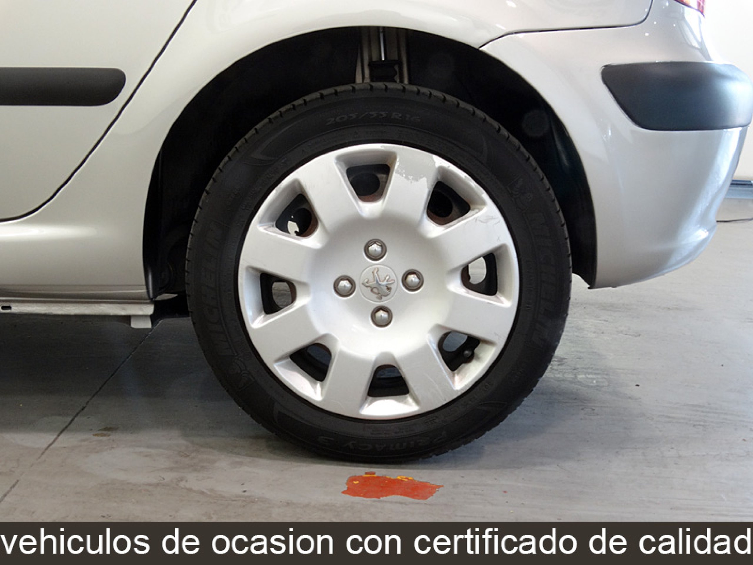 Foto Peugeot 307 26