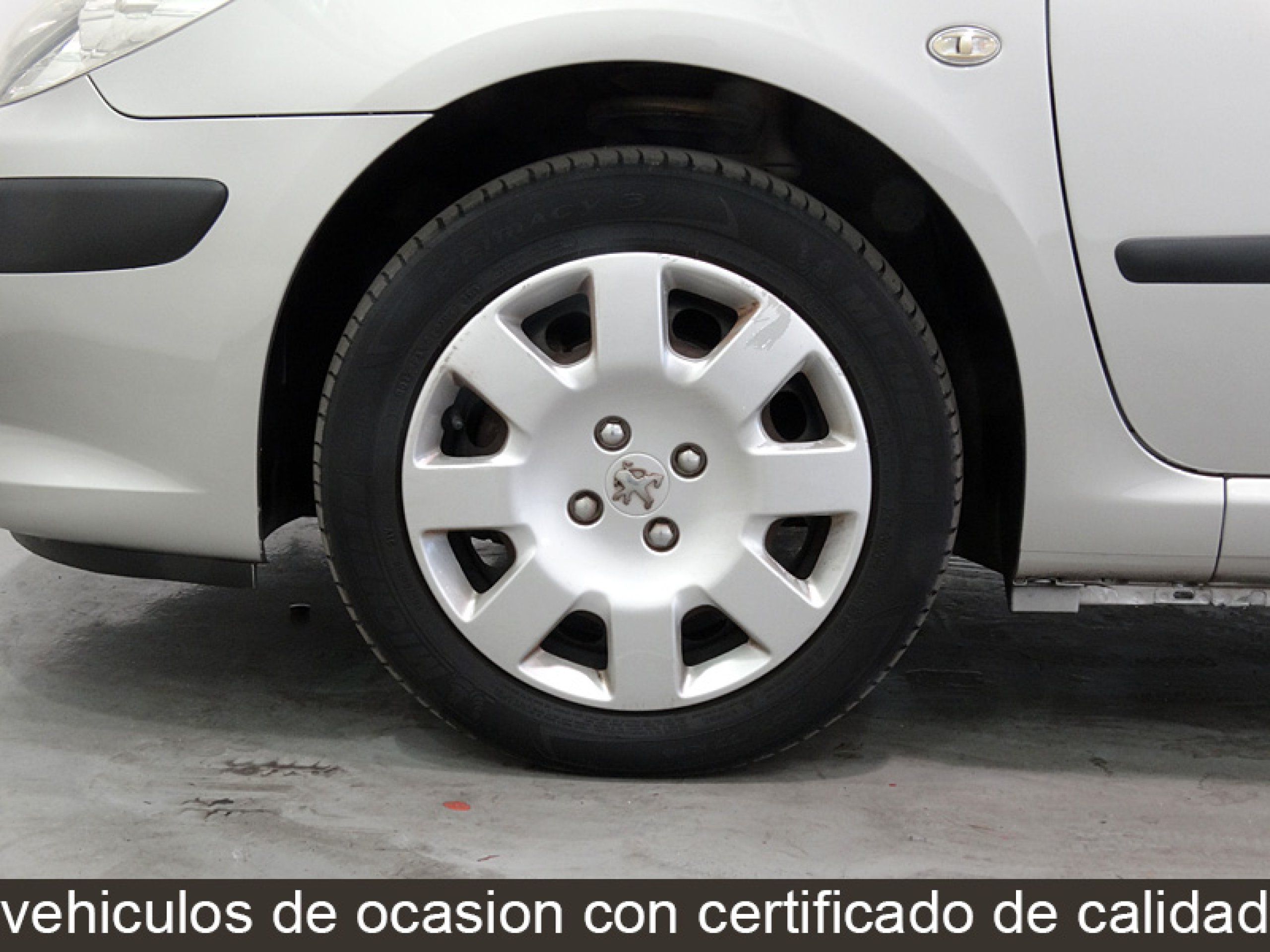 Foto Peugeot 307 27