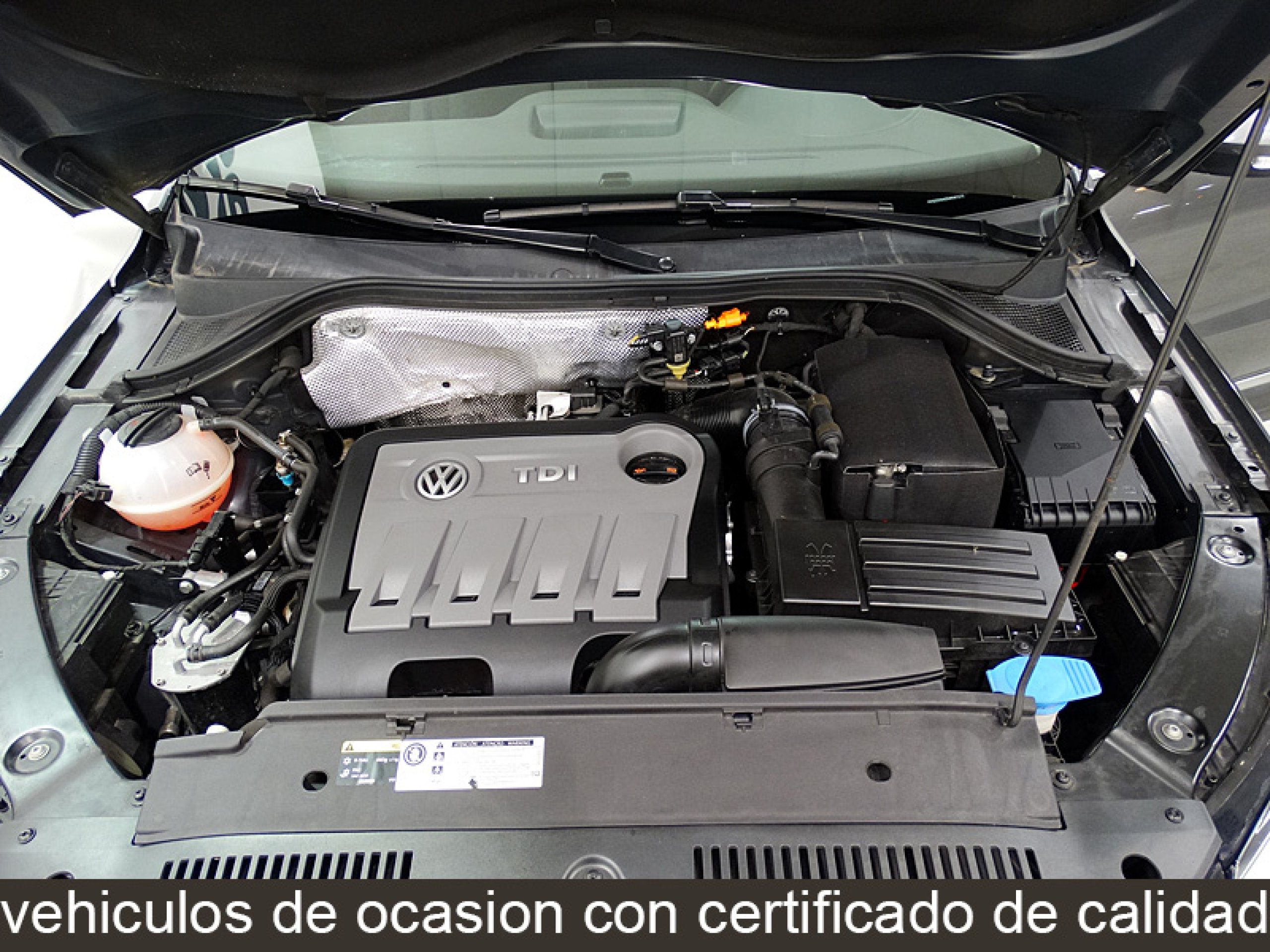 Foto Volkswagen Tiguan 15