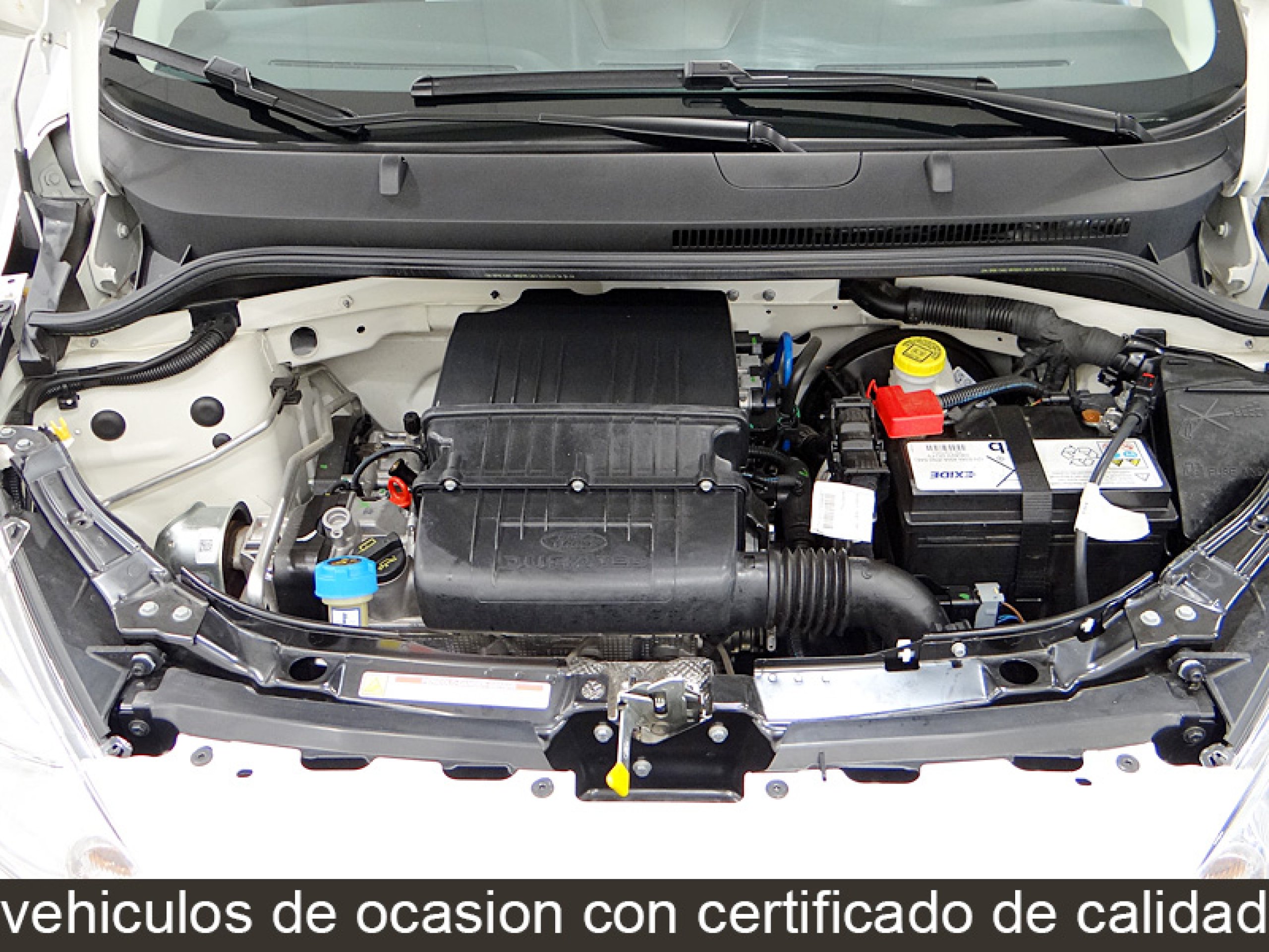 Foto Ford Ka 18