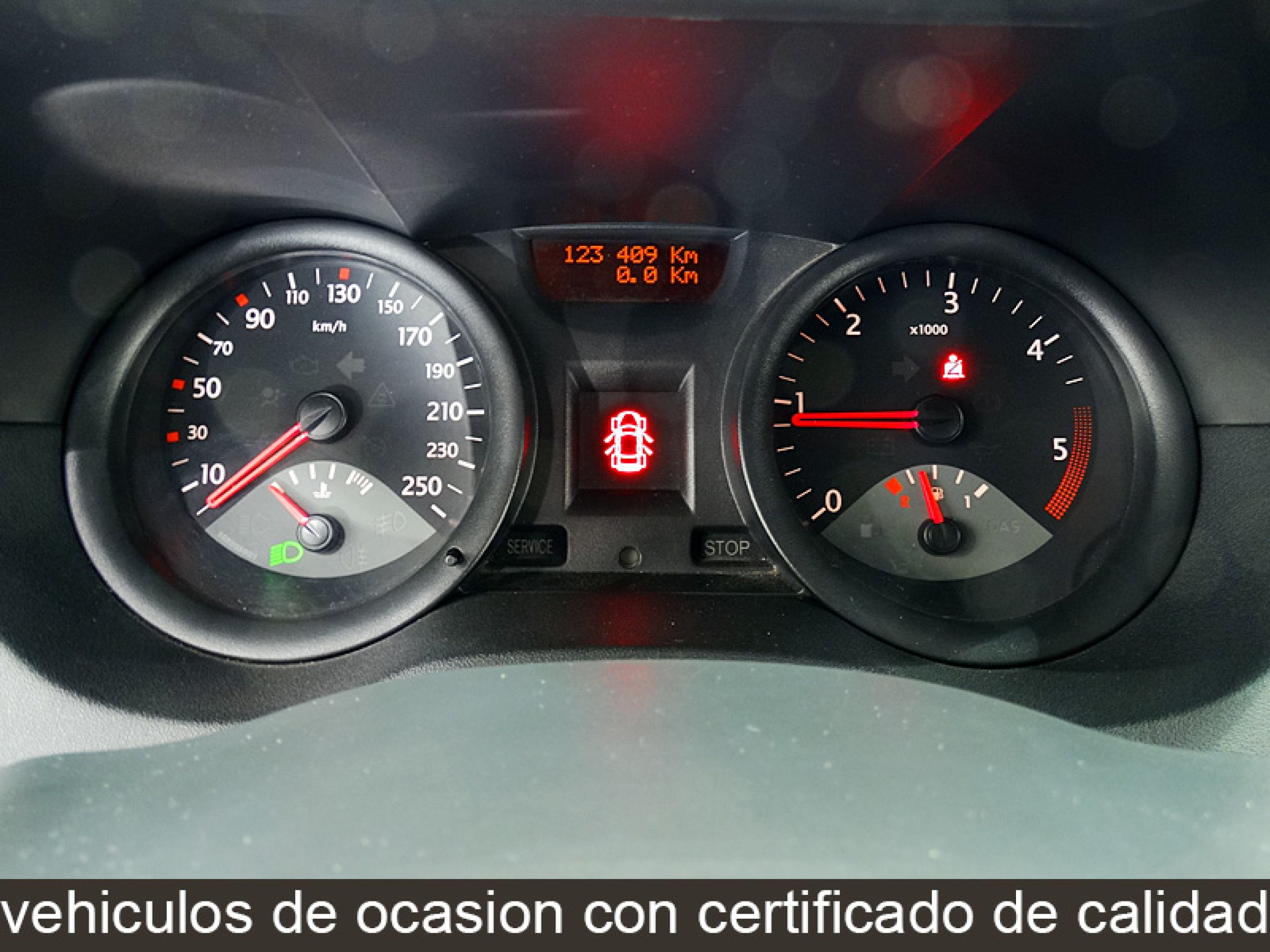 Foto Renault Megane 19