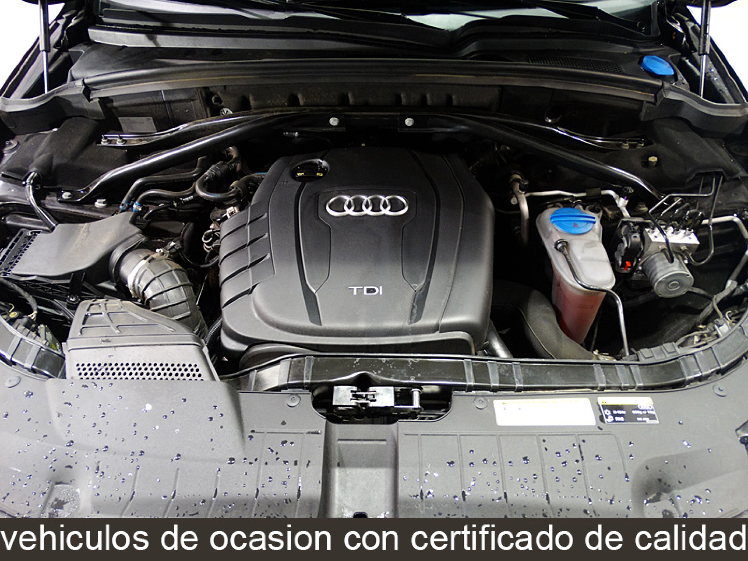 Foto Audi Q5 11