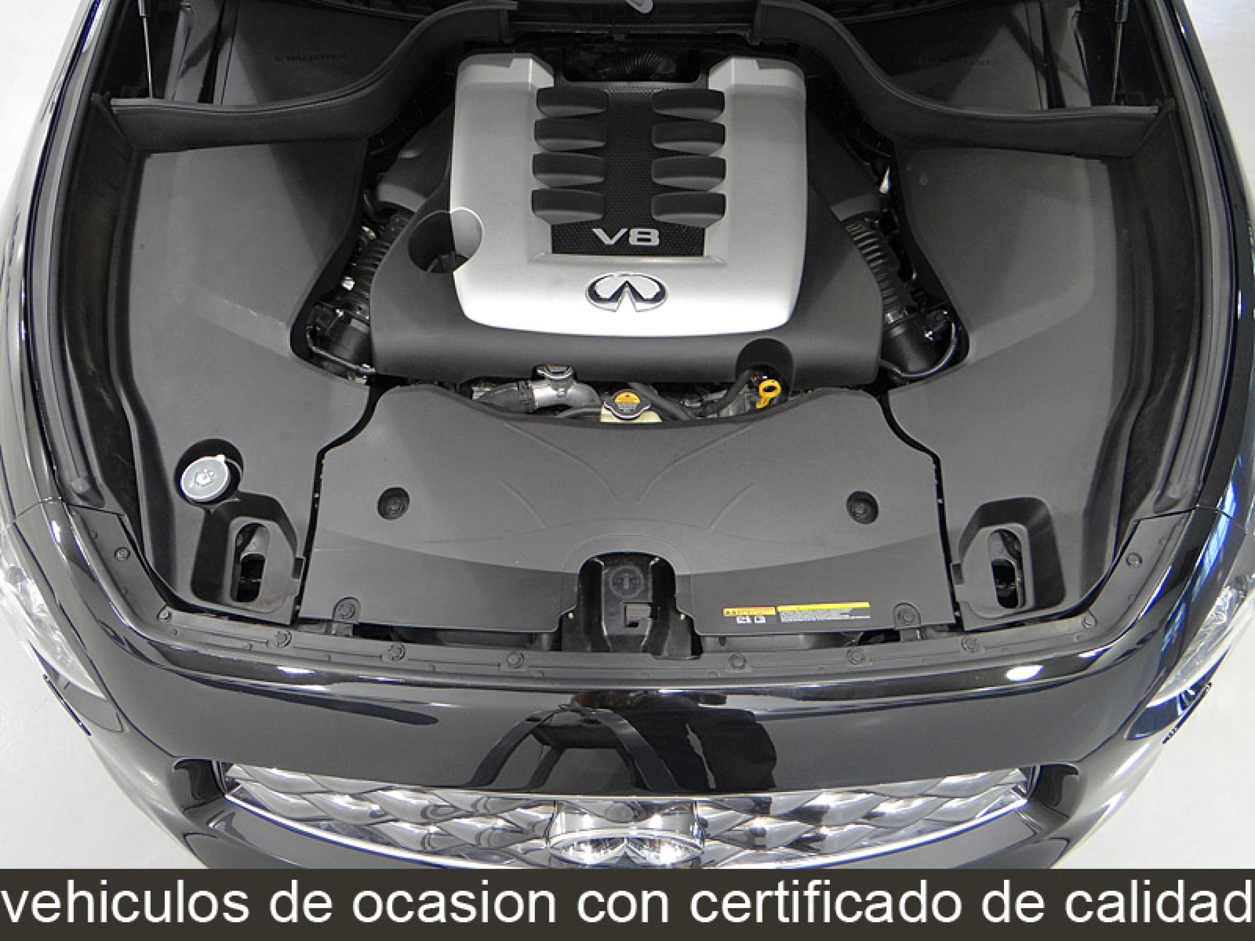 Foto Infiniti FX 18