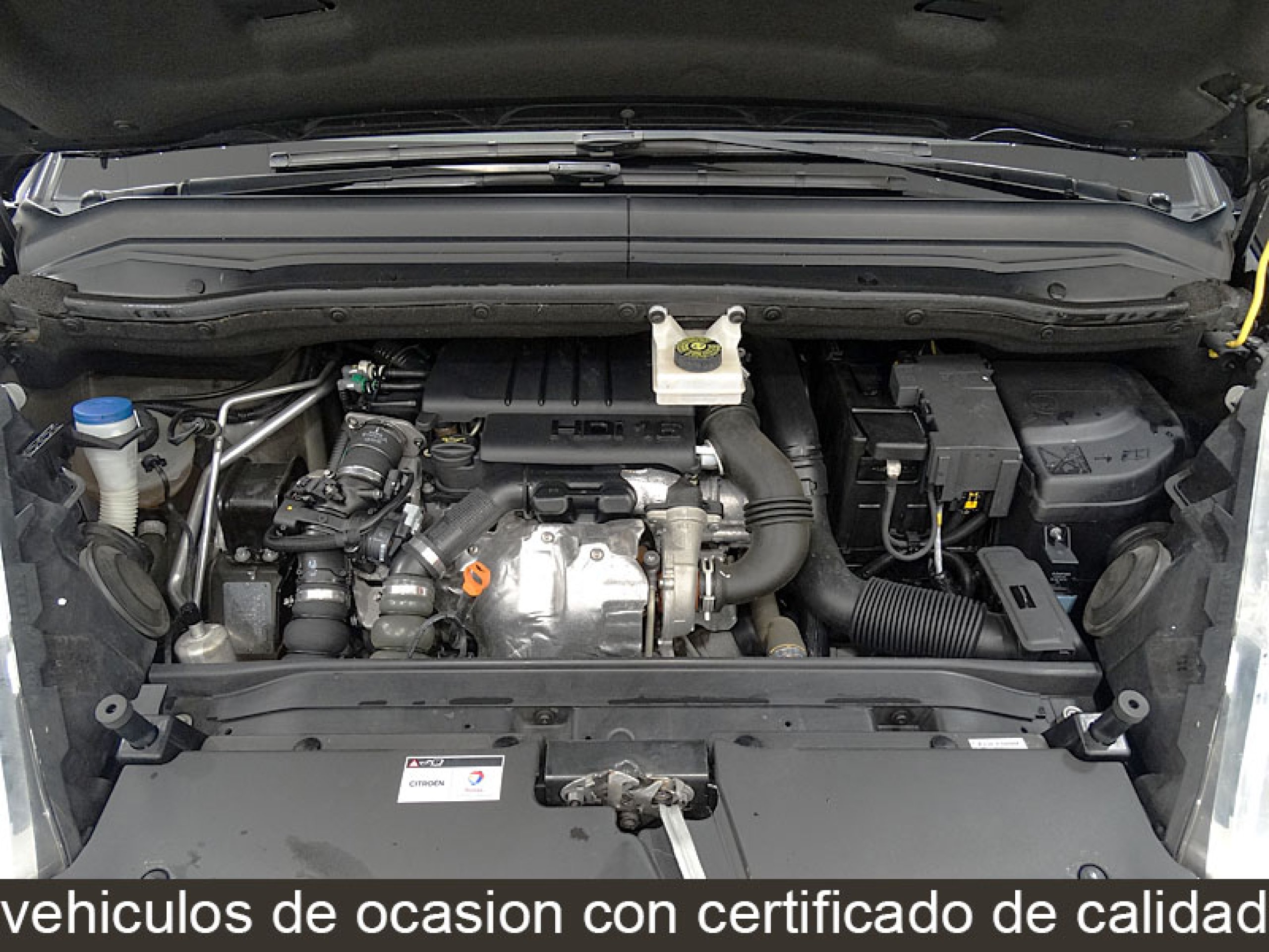 Foto Citroen C4 Picasso 18