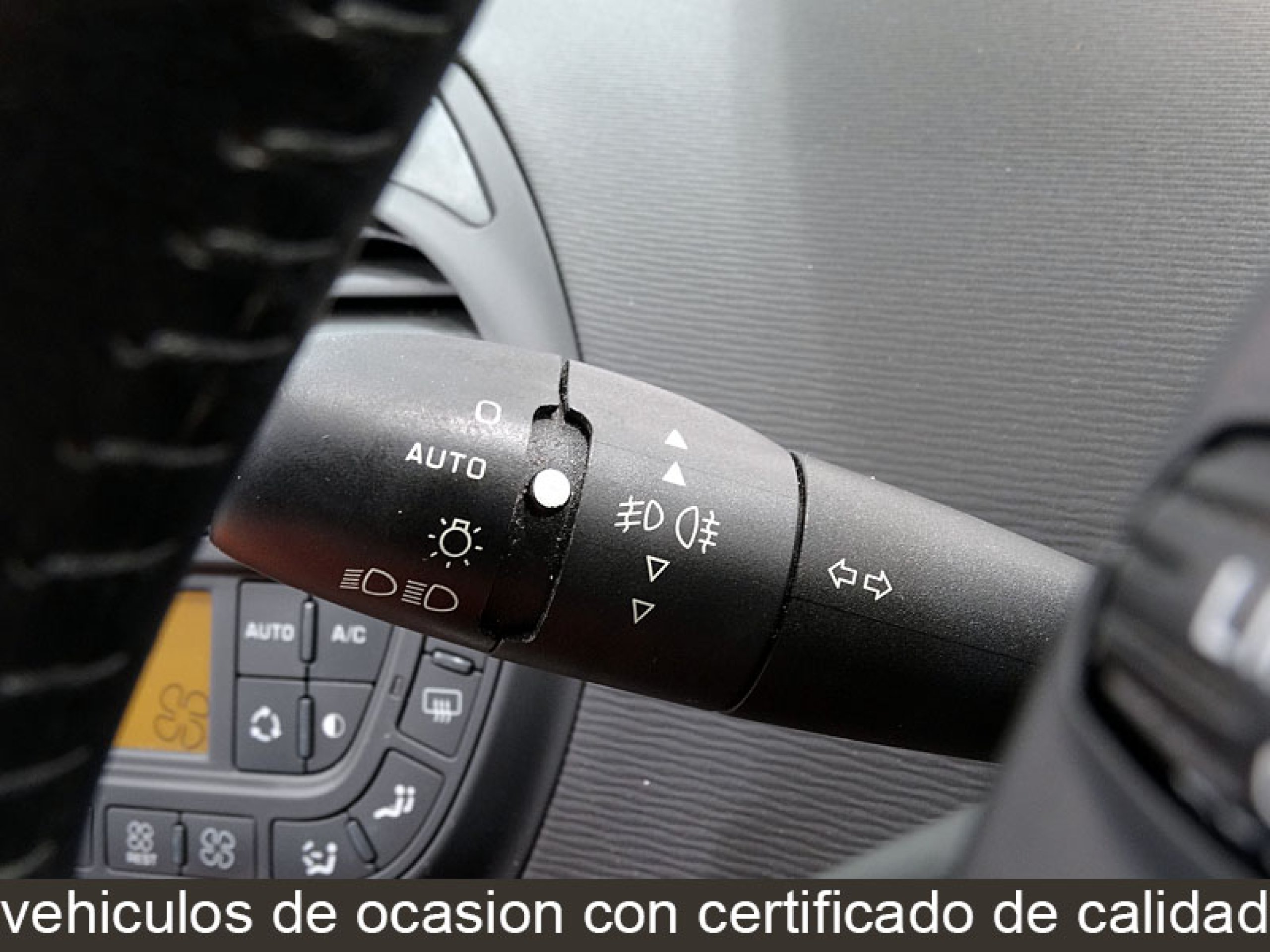 Foto Citroen C4 Picasso 33