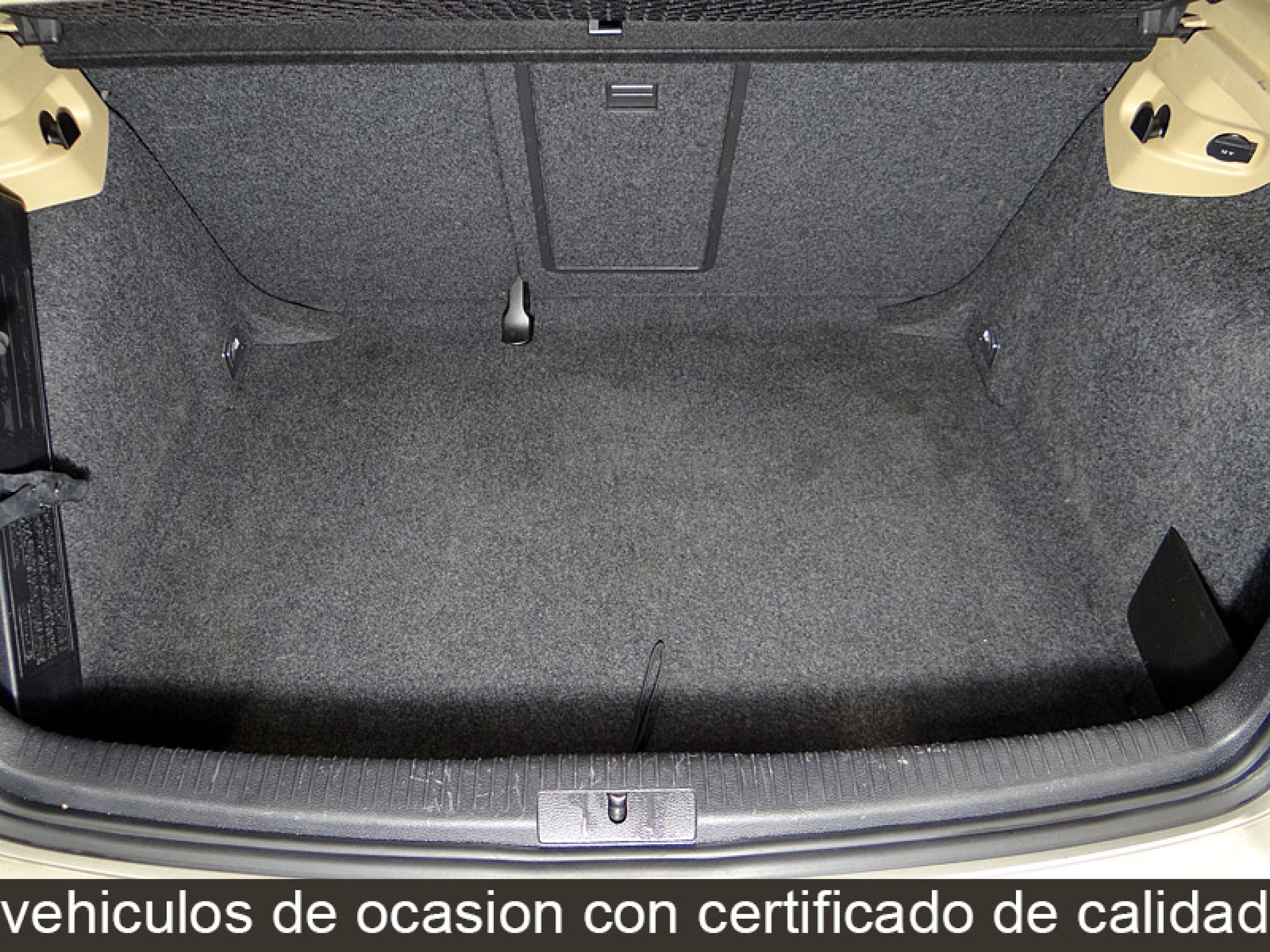 Foto Volkswagen Golf 12