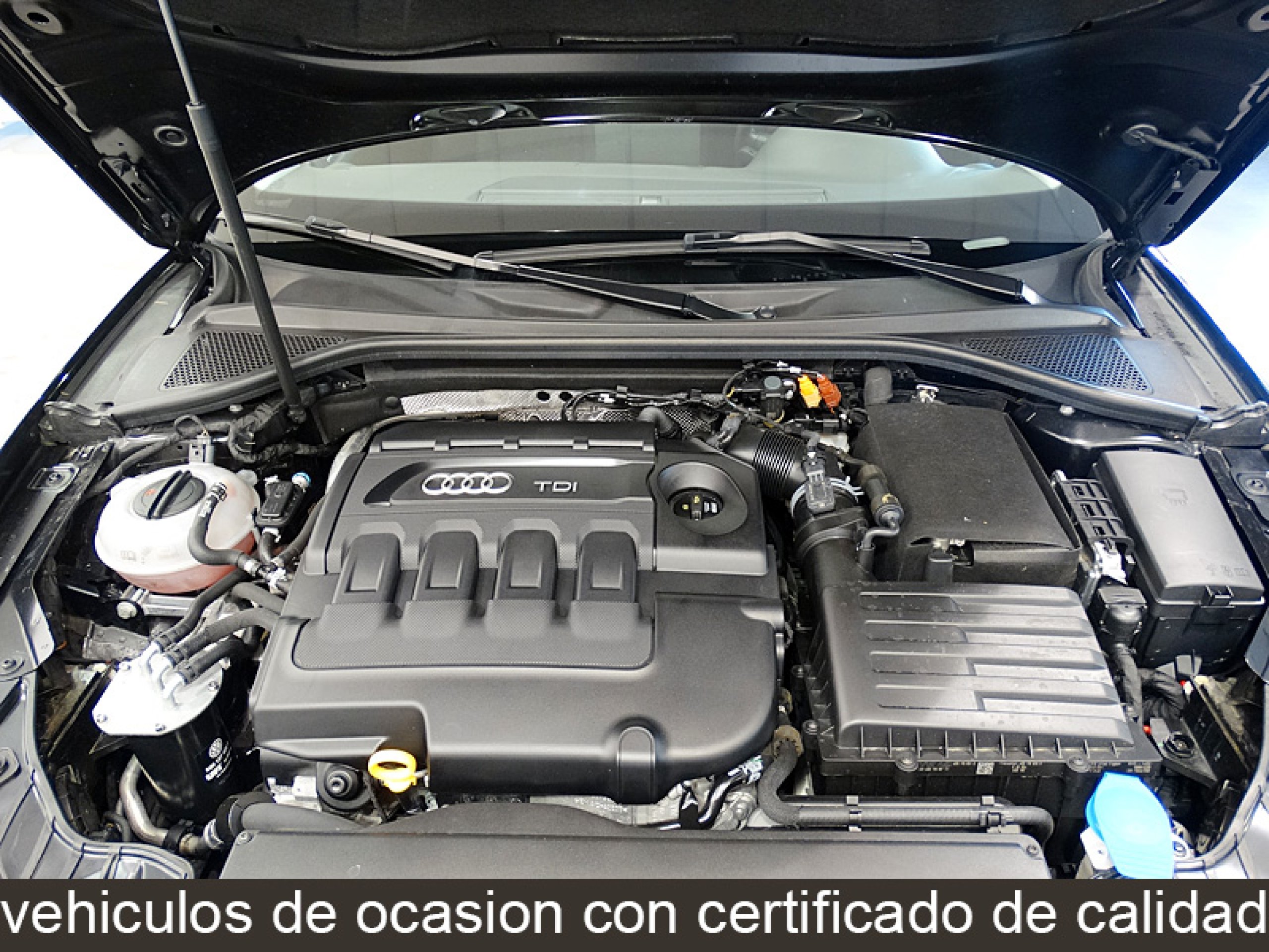 Foto Audi A3 15