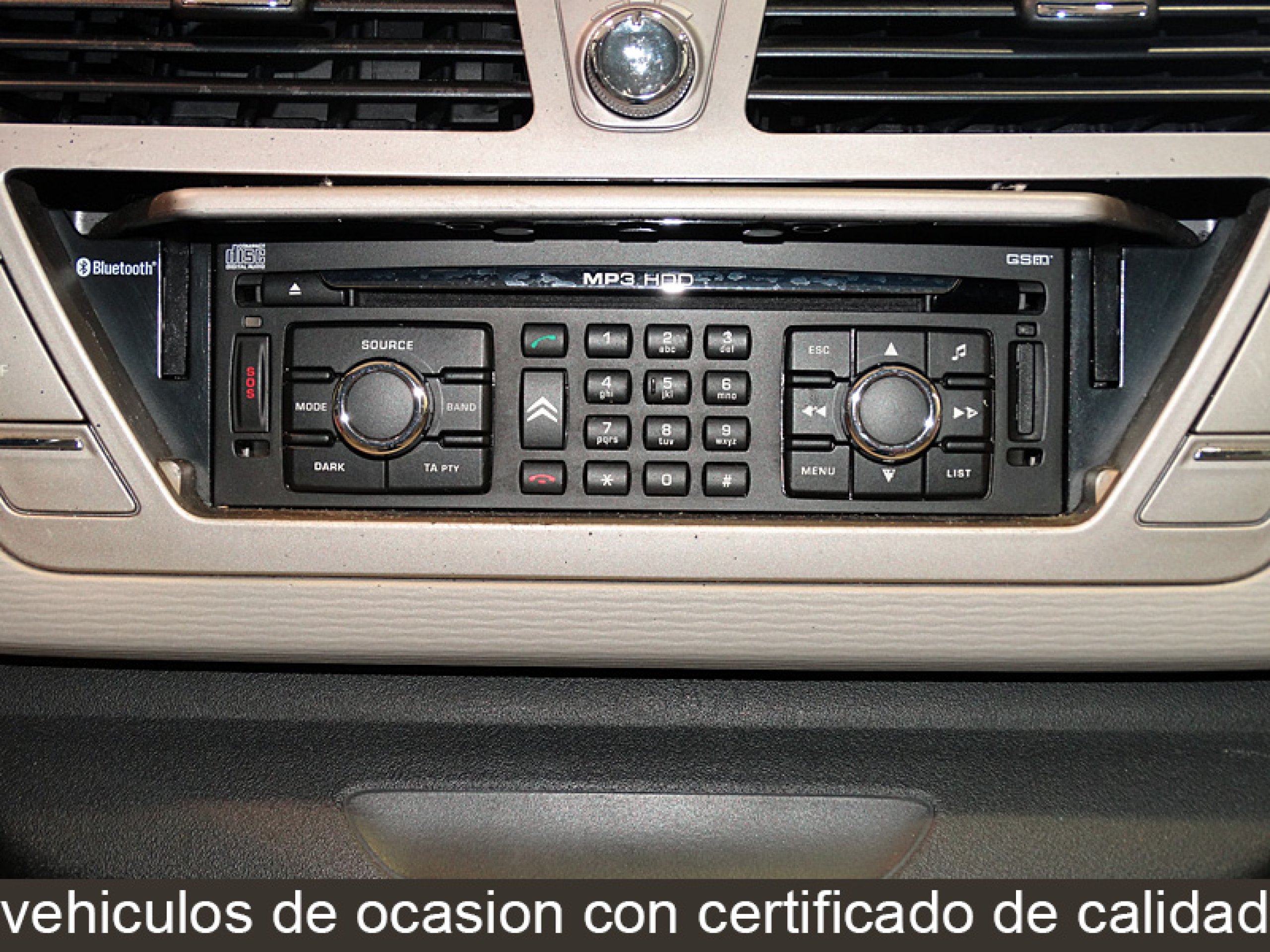 Foto Citroen C4 Picasso 19