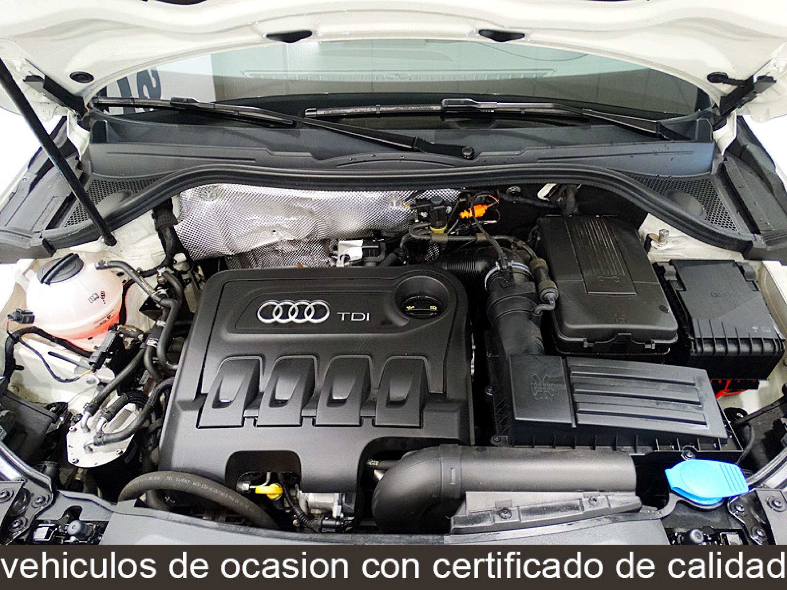 Foto Audi Q3 16