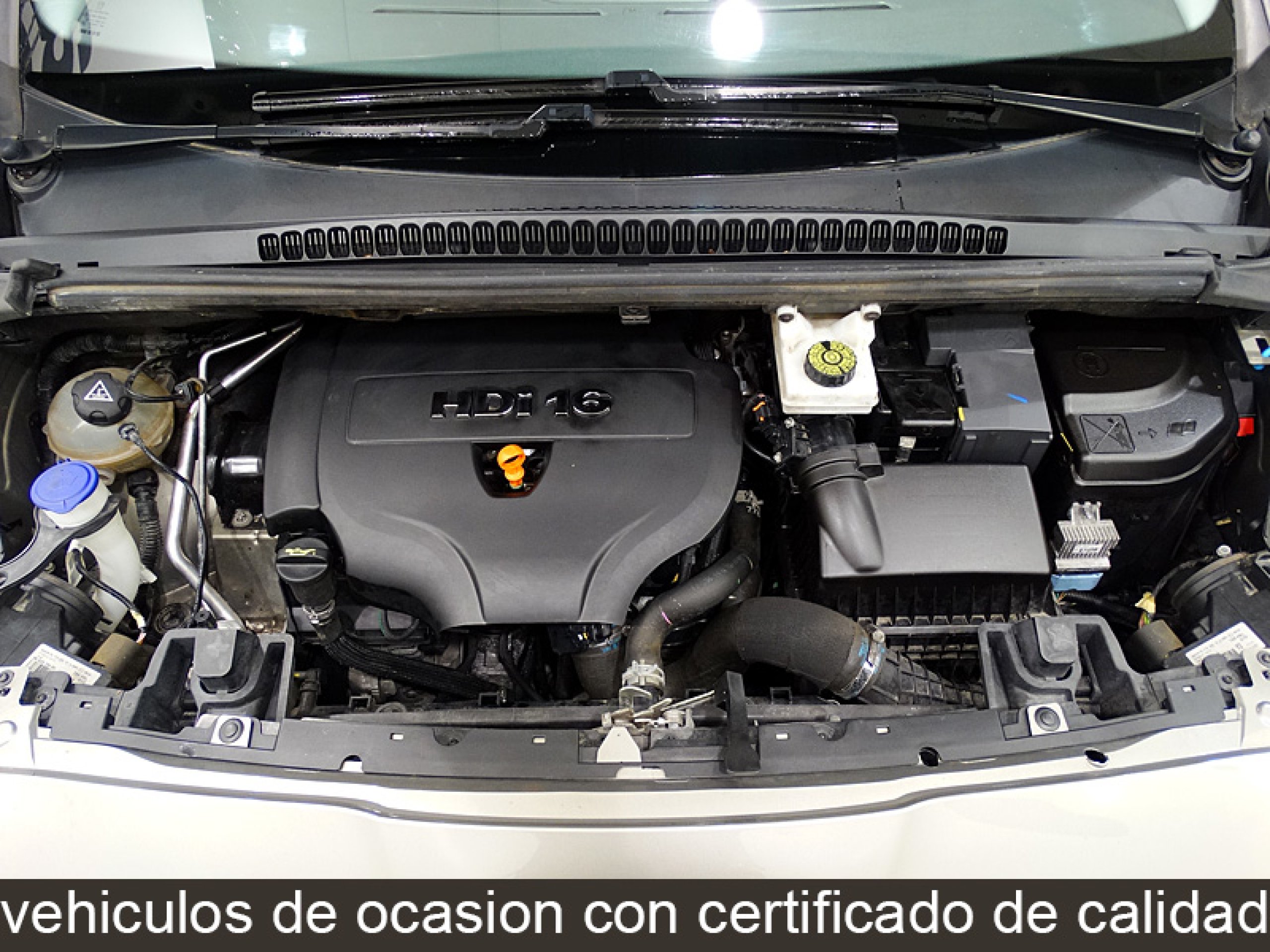 Foto Peugeot 5008 16