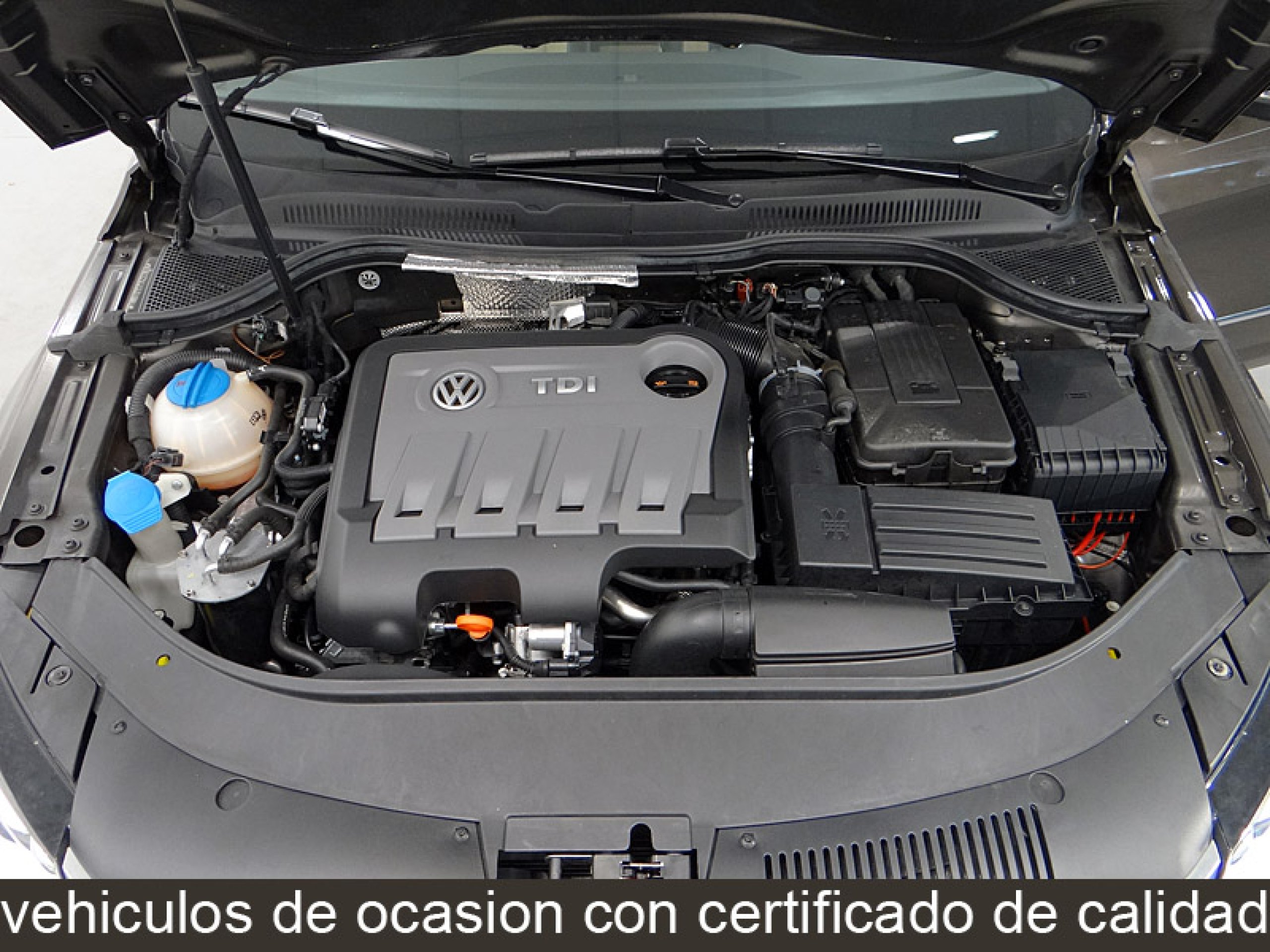 Foto Volkswagen Passat 18