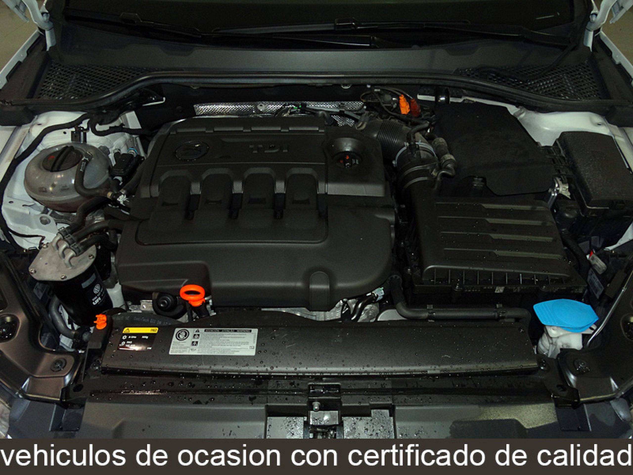 Foto Seat Leon 8