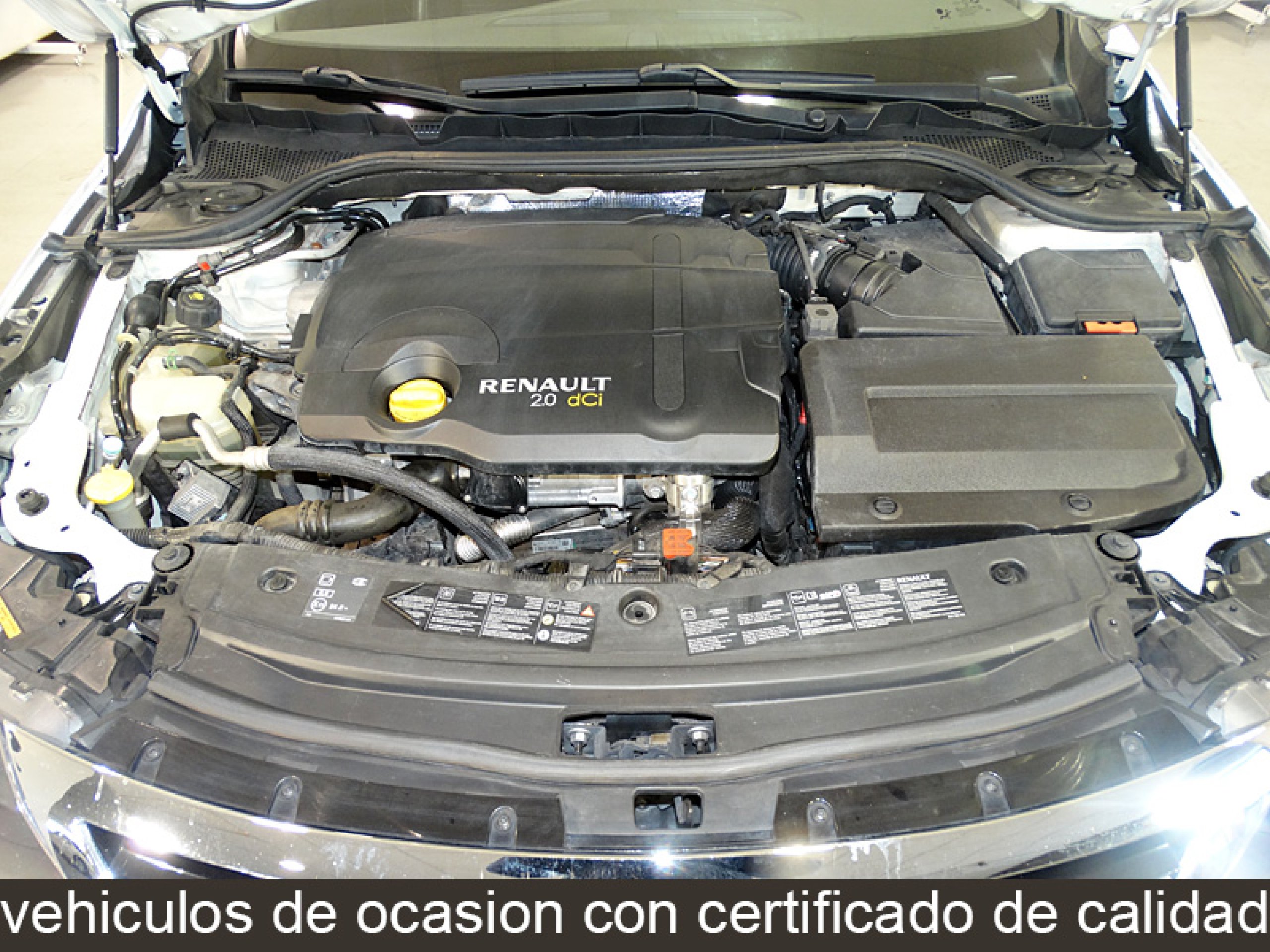 Foto Renault Latitude 8