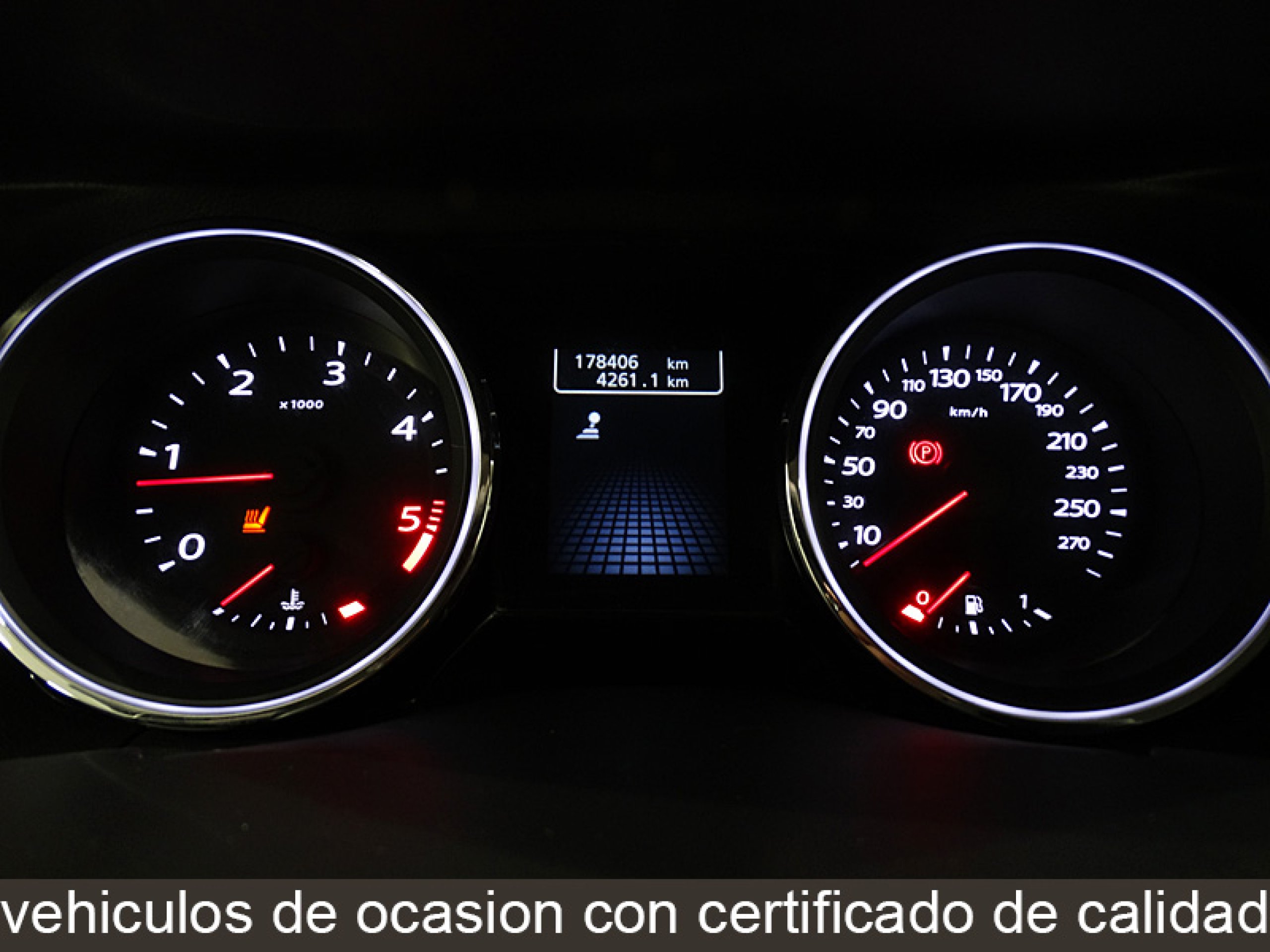 Foto Renault Latitude 17