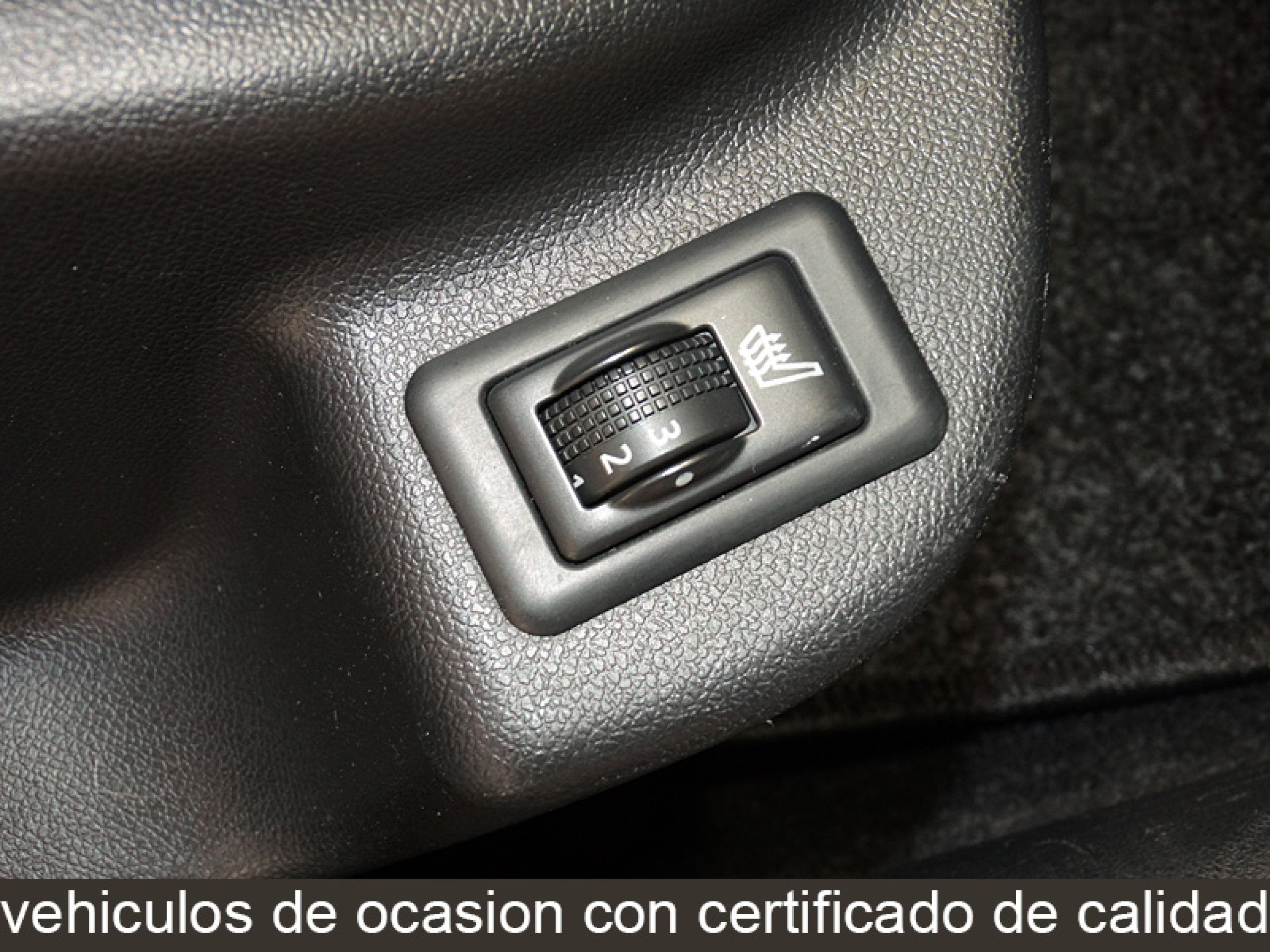 Foto Renault Latitude 31