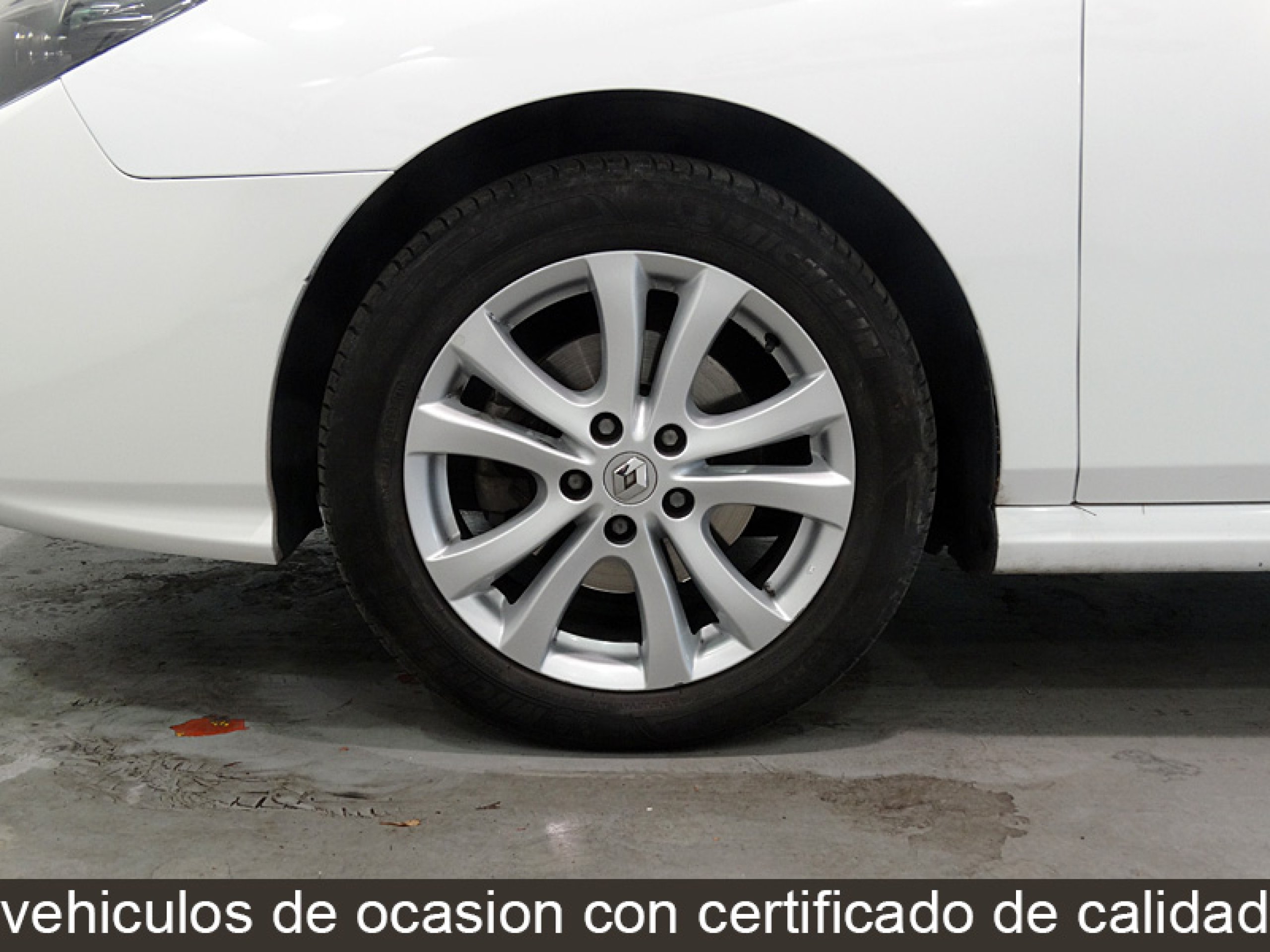 Foto Renault Latitude 38