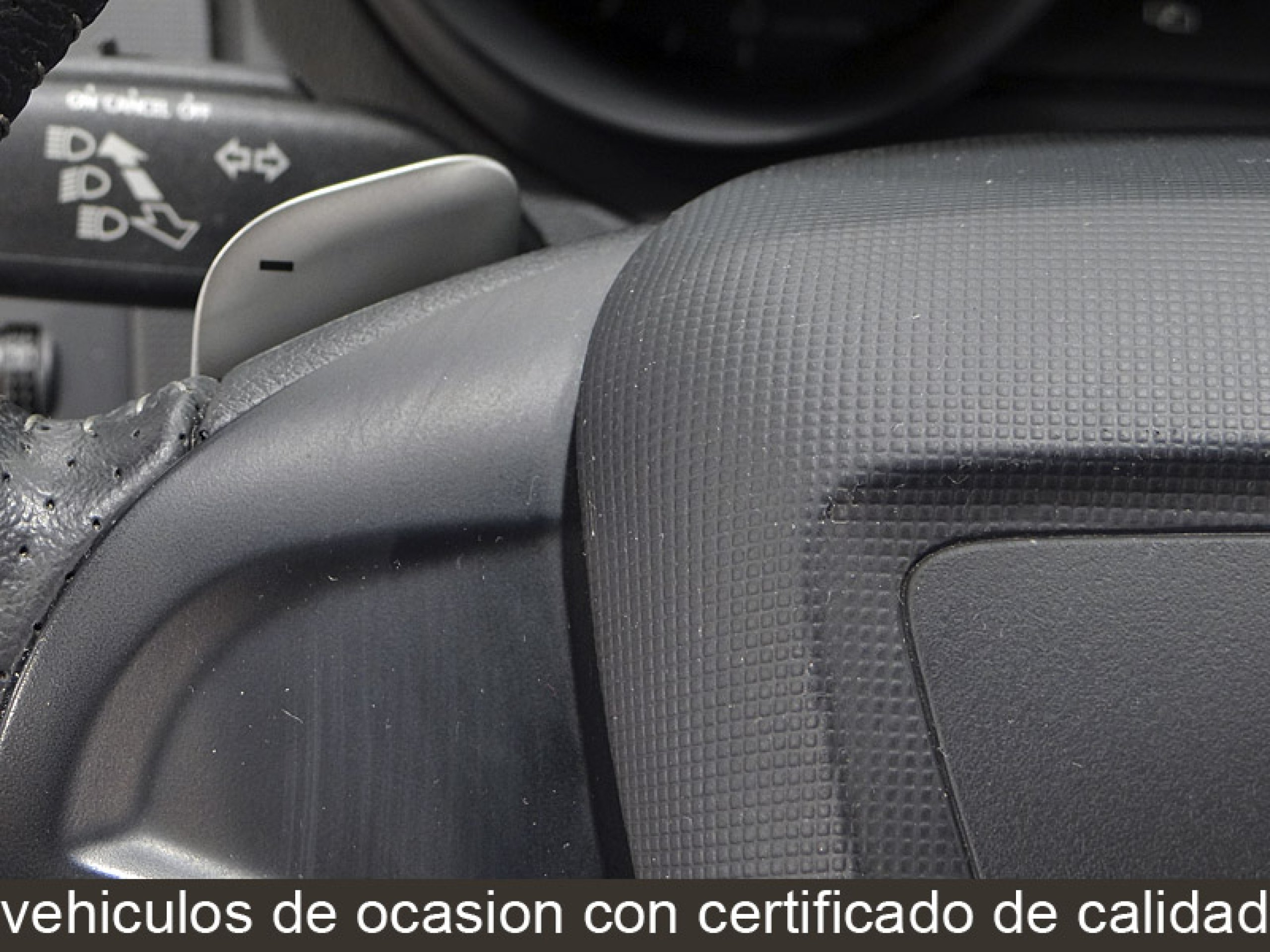 Foto Seat Ibiza 41