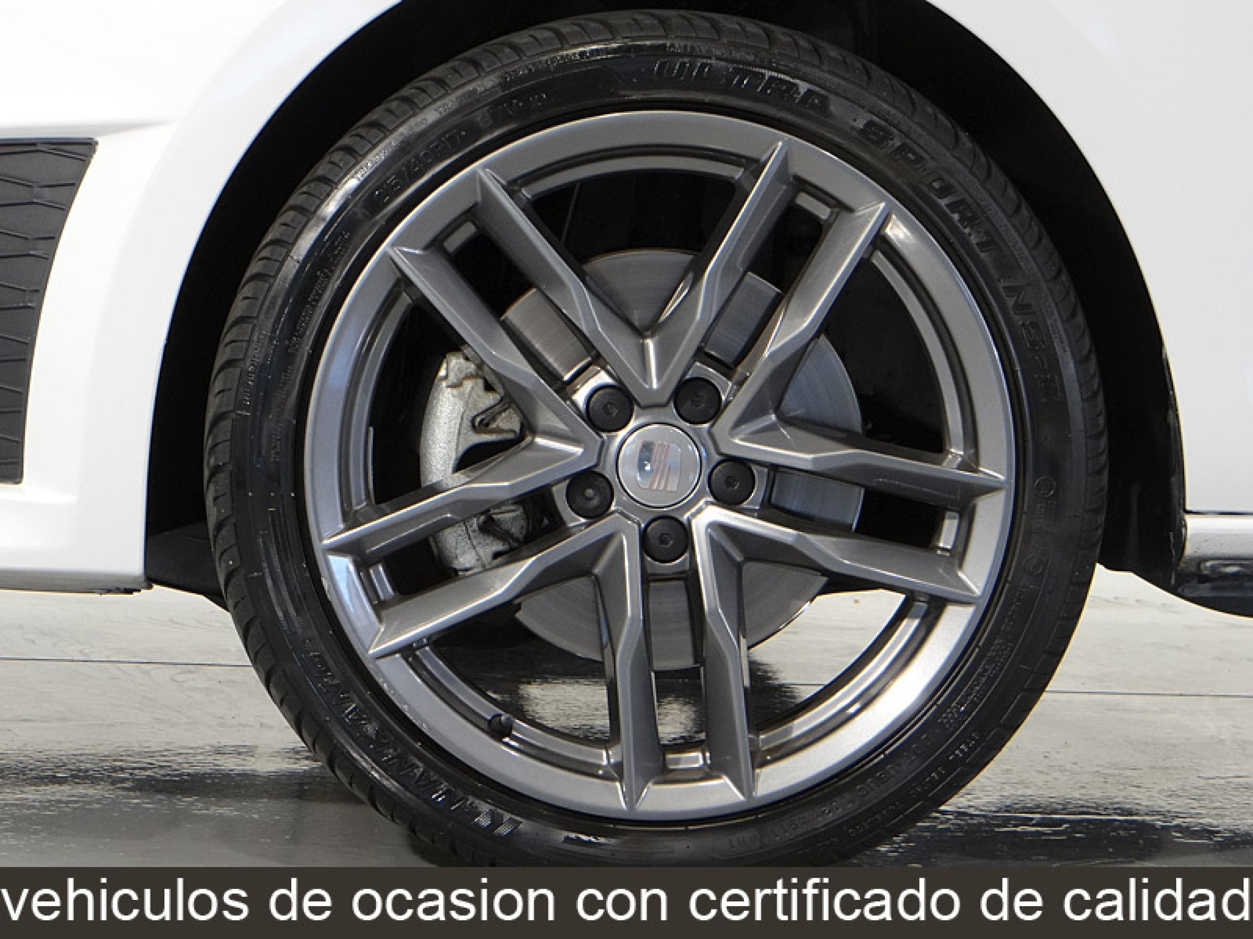 Foto Seat Ibiza 44