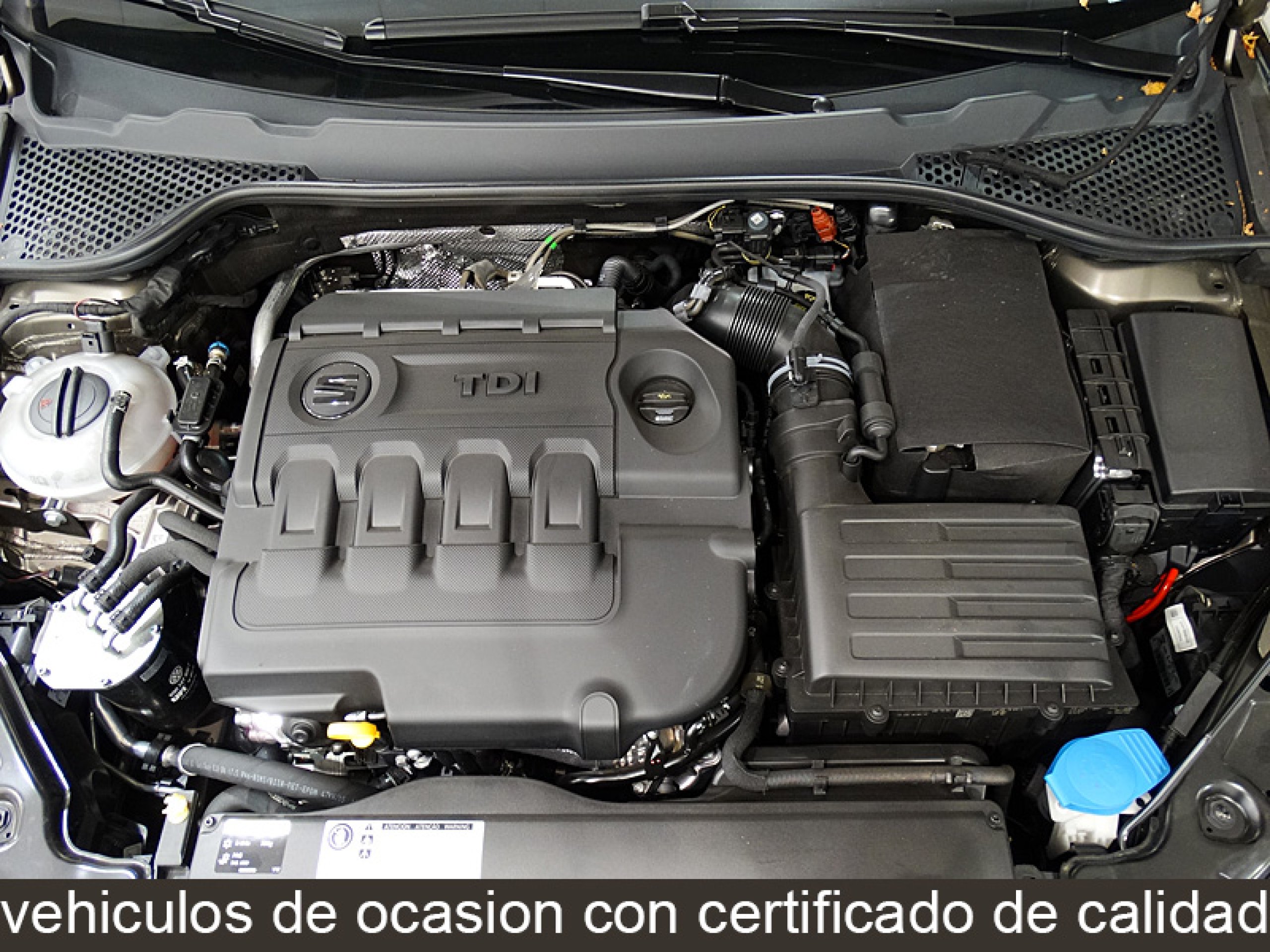 Foto Seat Leon 16