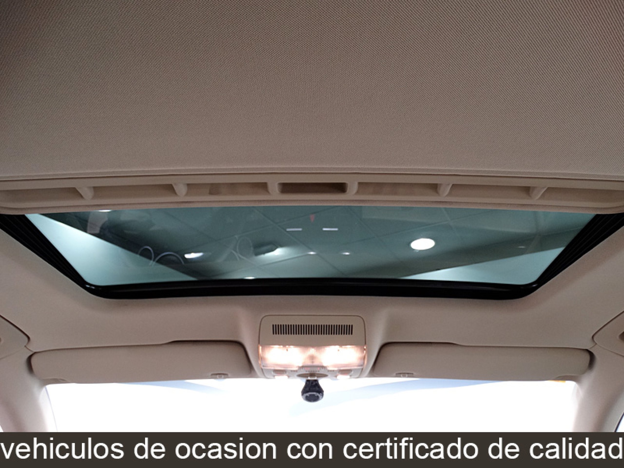 Foto Seat Exeo 31