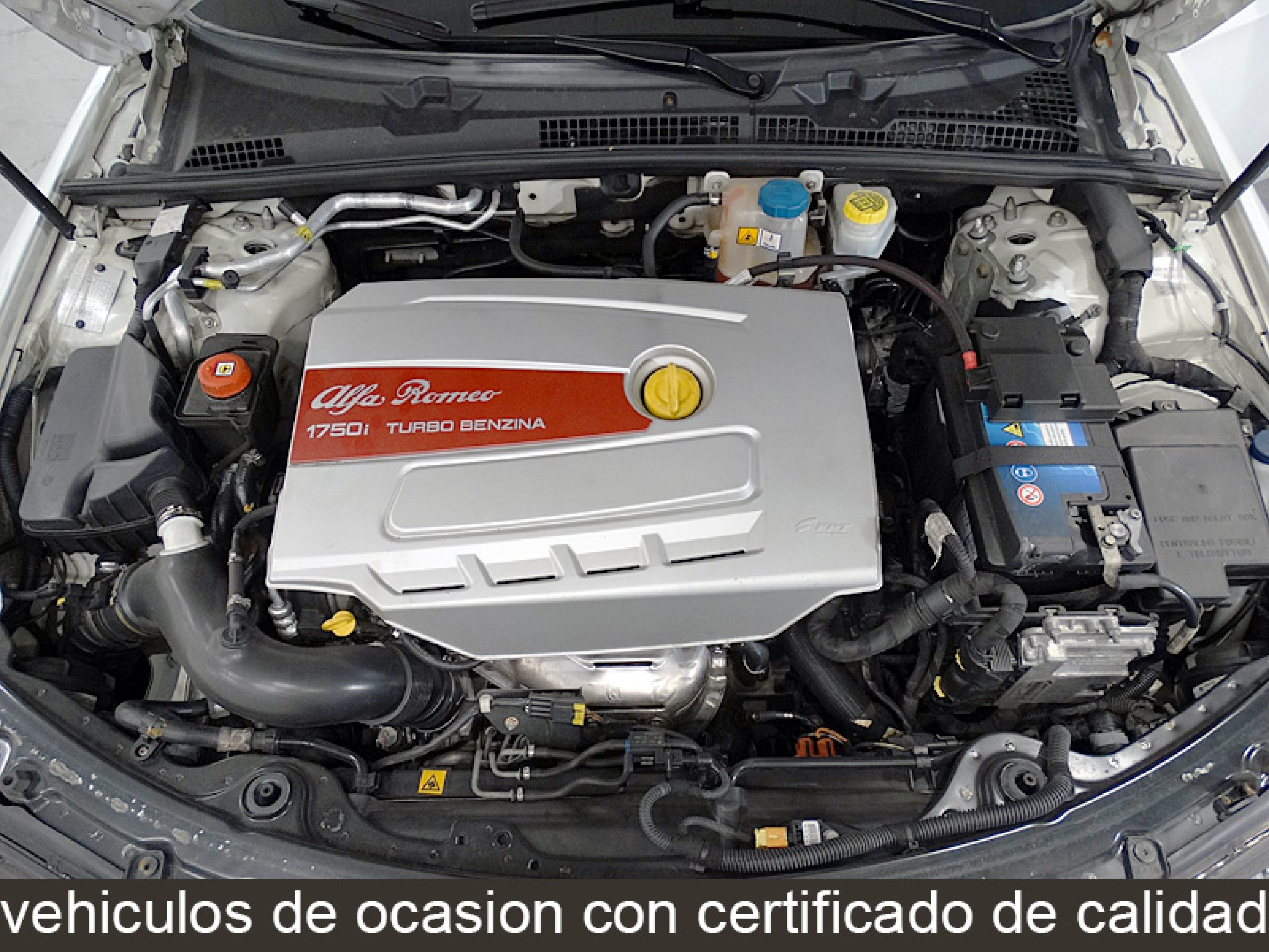 Foto Alfa Romeo Spider 9 Foto Alfa Romeo Spider 9