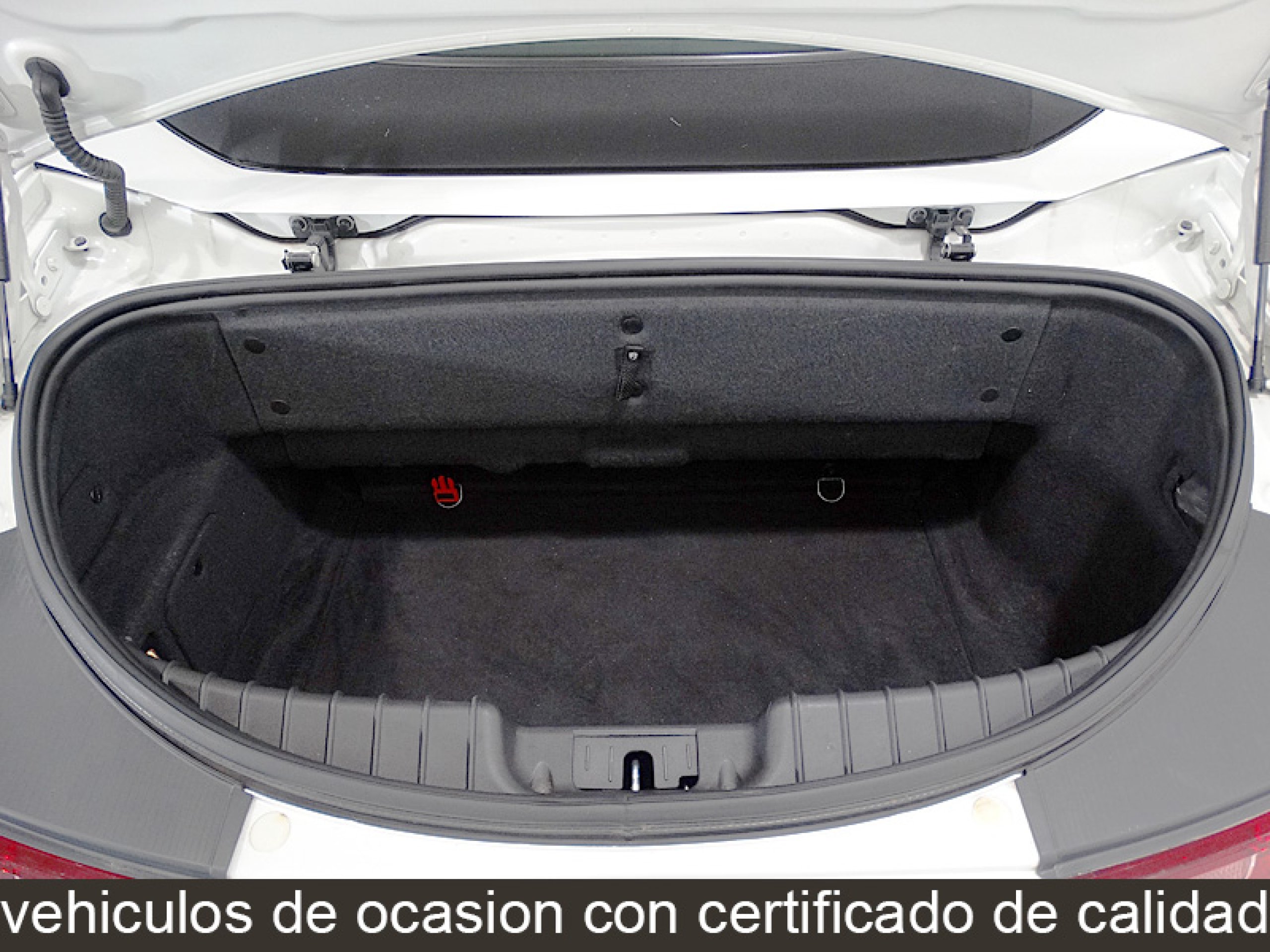 Foto Alfa Romeo Spider 10 Foto Alfa Romeo Spider 10