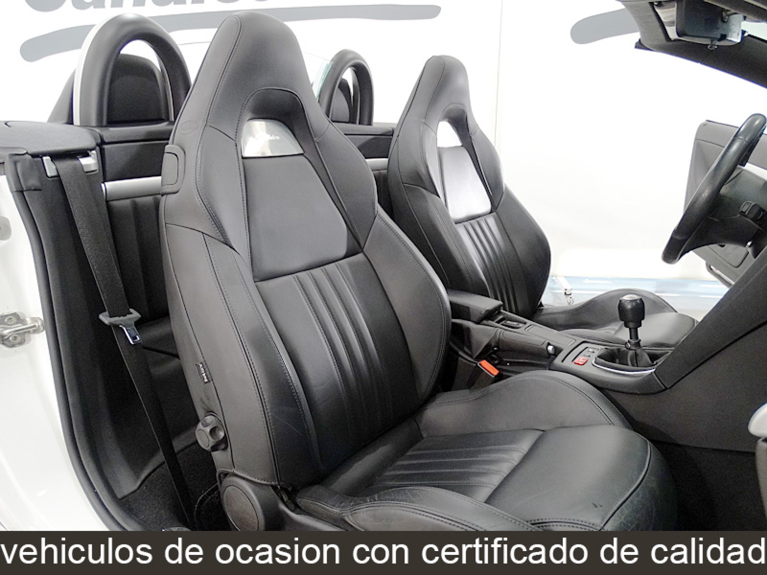 Foto Alfa Romeo Spider 13 Foto Alfa Romeo Spider 13