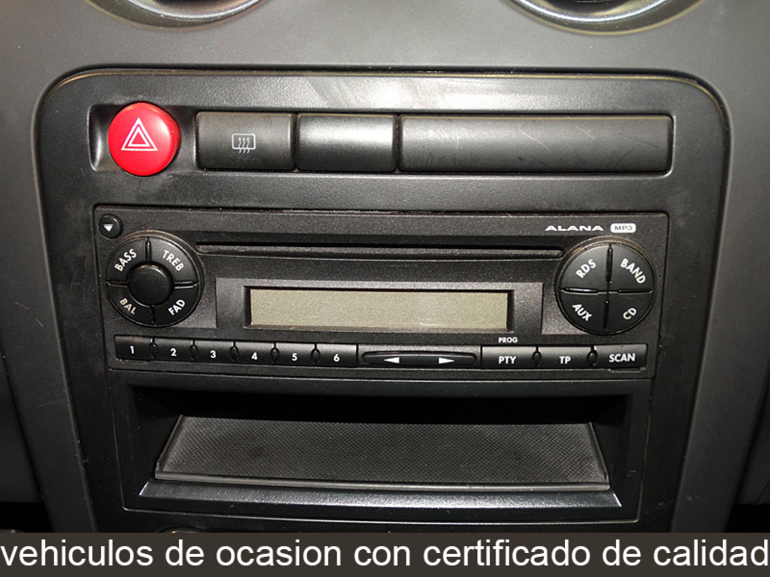 Foto Seat Ibiza 19