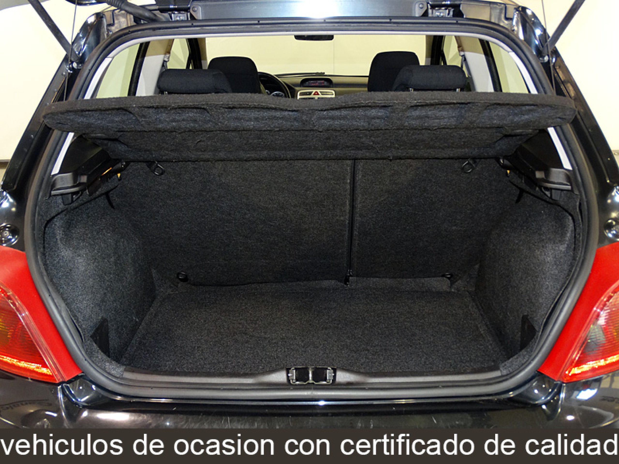 Foto Peugeot 307 9