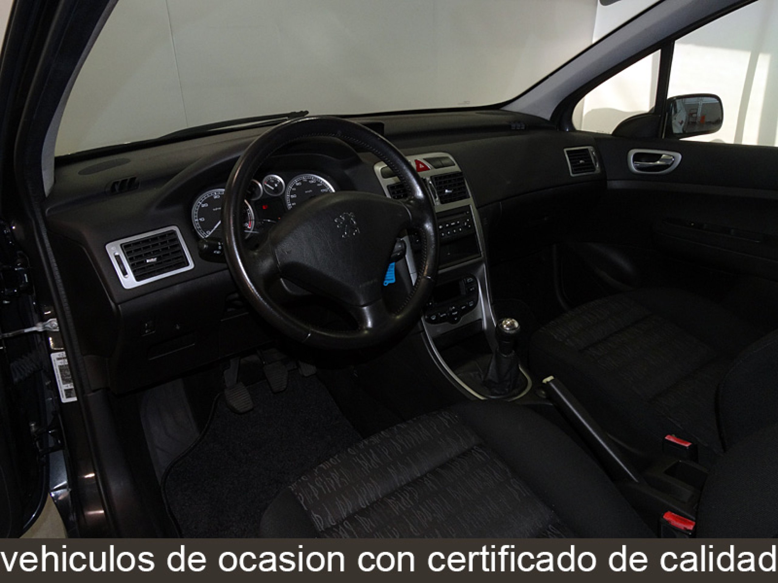 Foto Peugeot 307 14