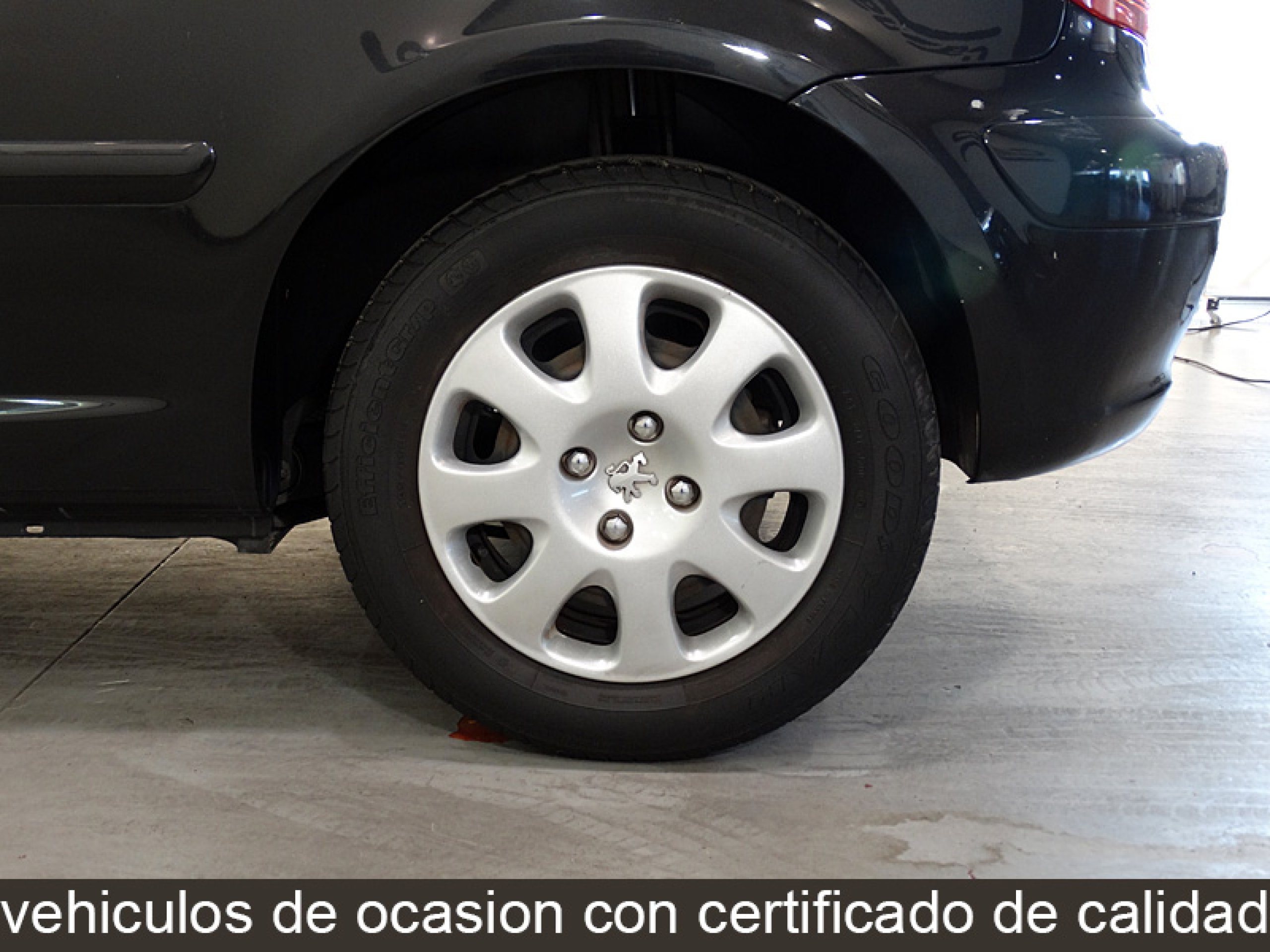Foto Peugeot 307 21