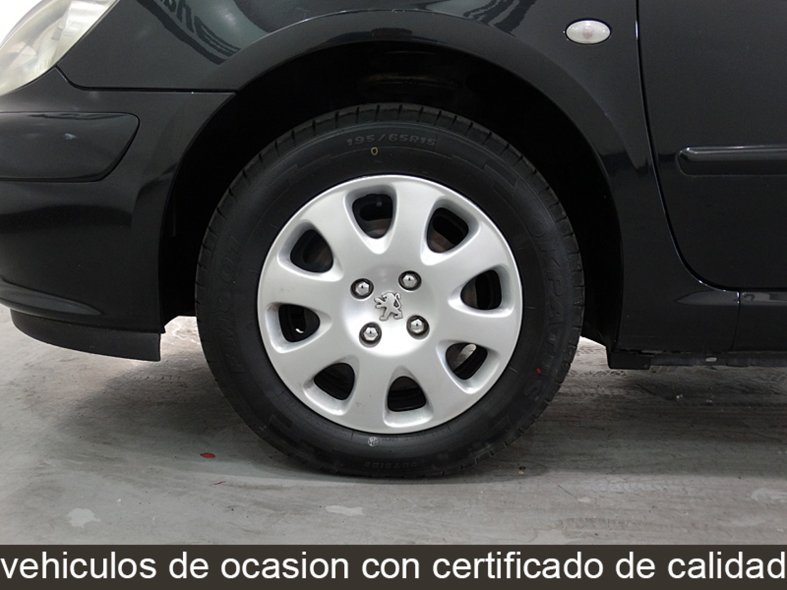 Foto Peugeot 307 22
