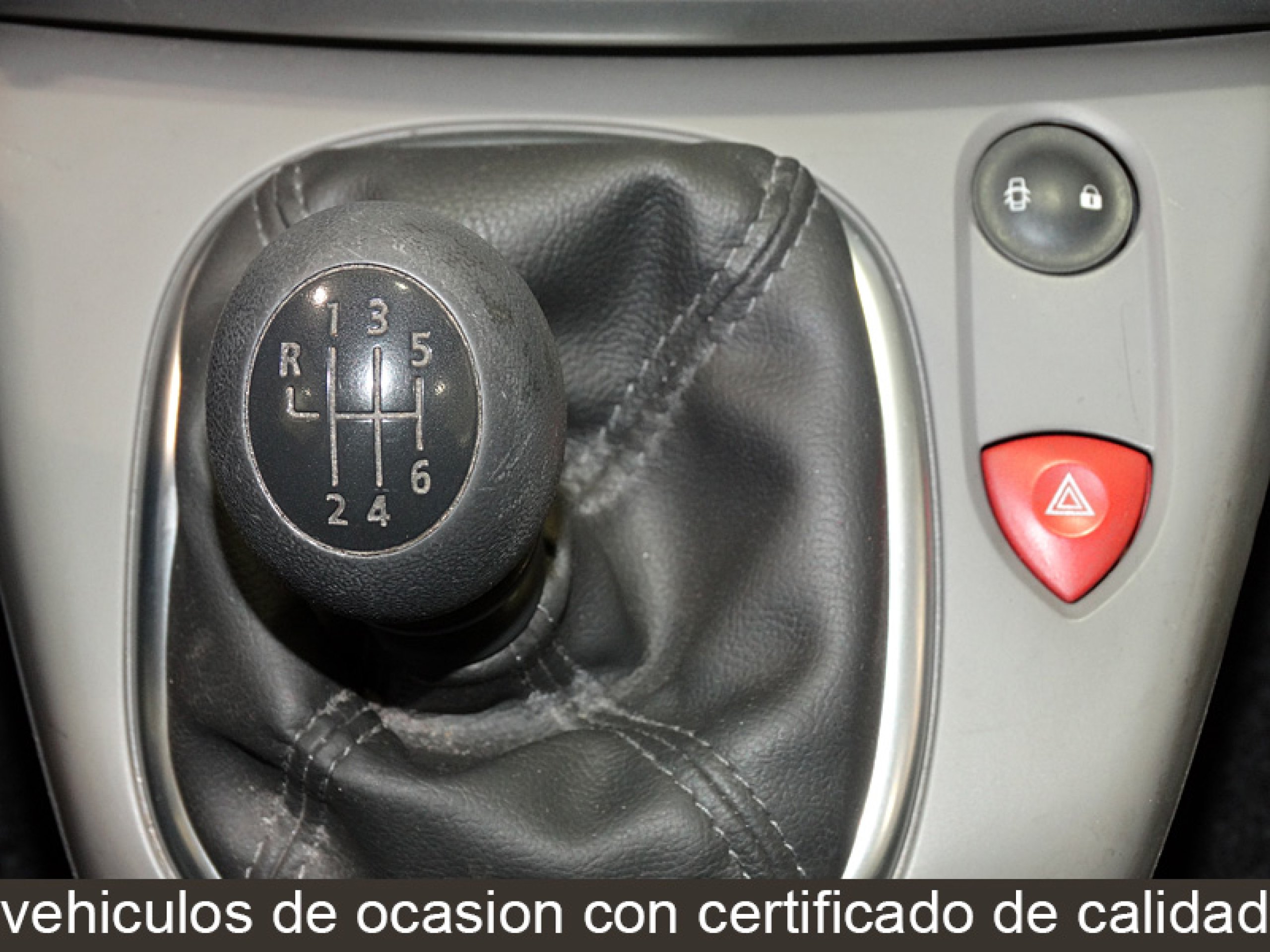 Foto Renault Scenic 20