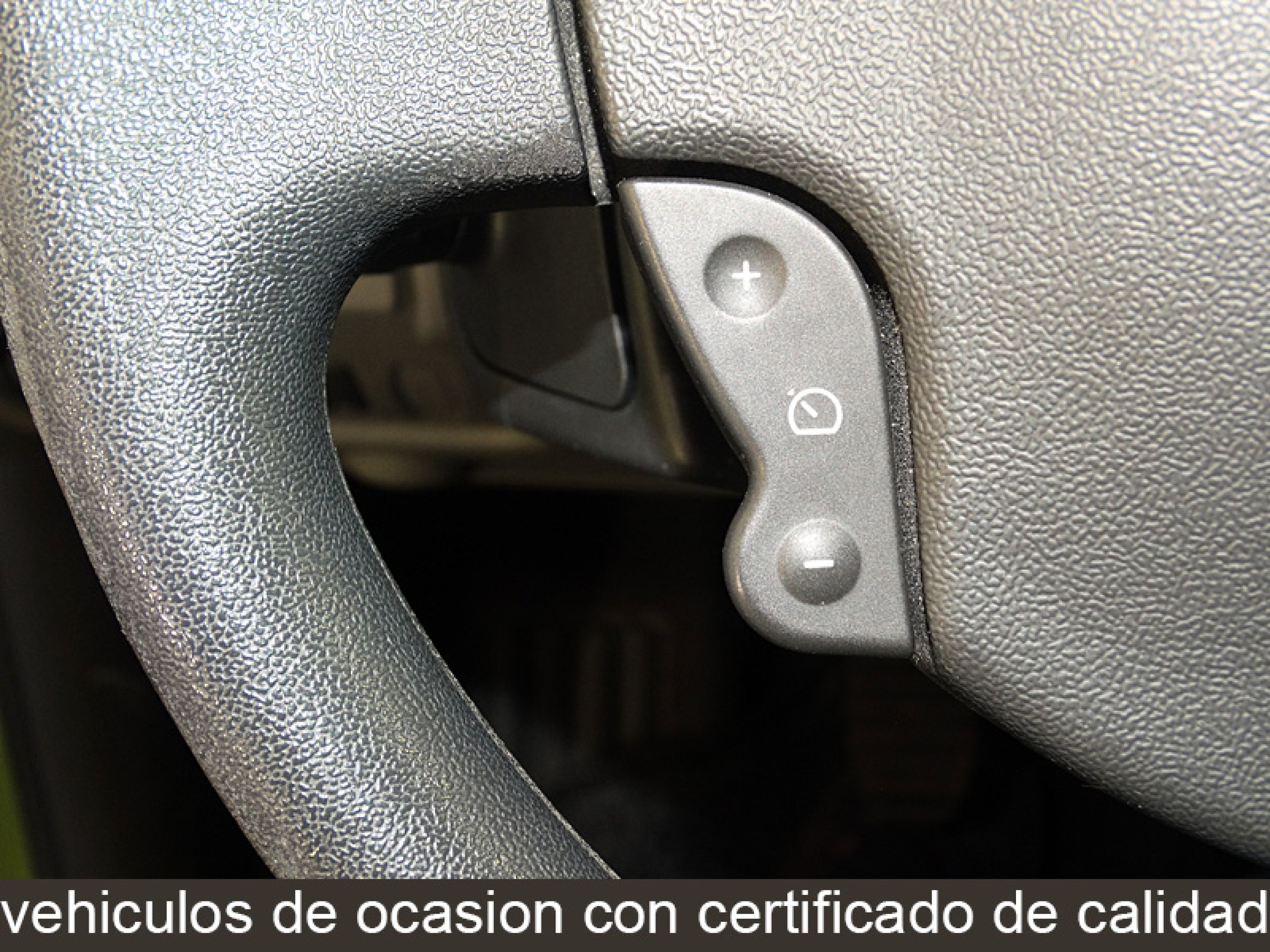 Foto Renault Scenic 23