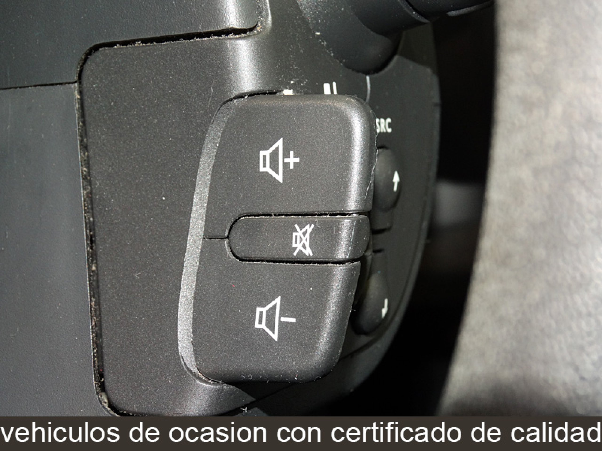 Foto Renault Scenic 28