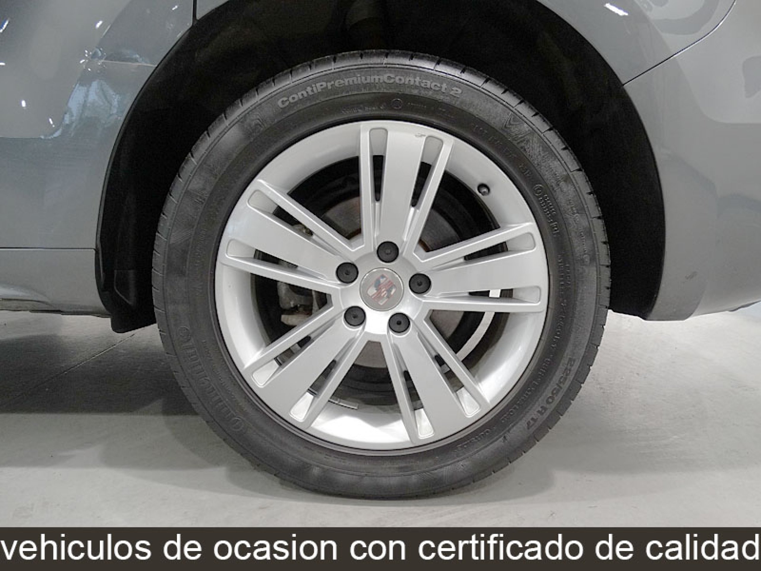 Foto Seat Alhambra 15