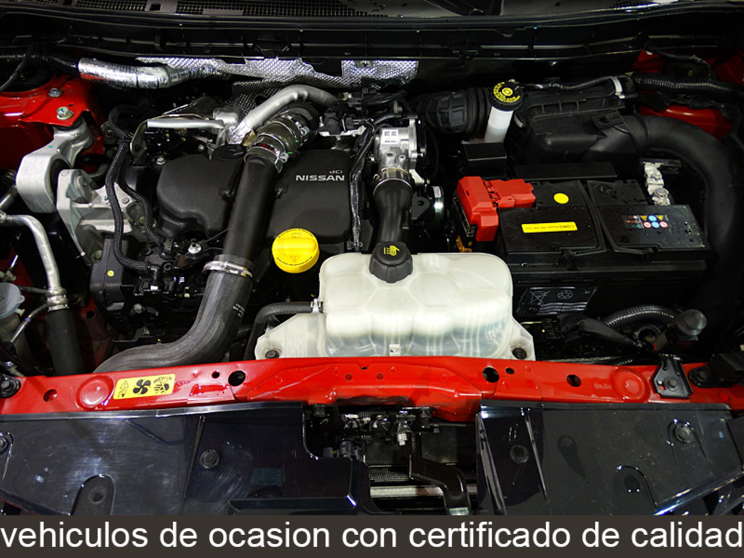 Foto Nissan Juke 11