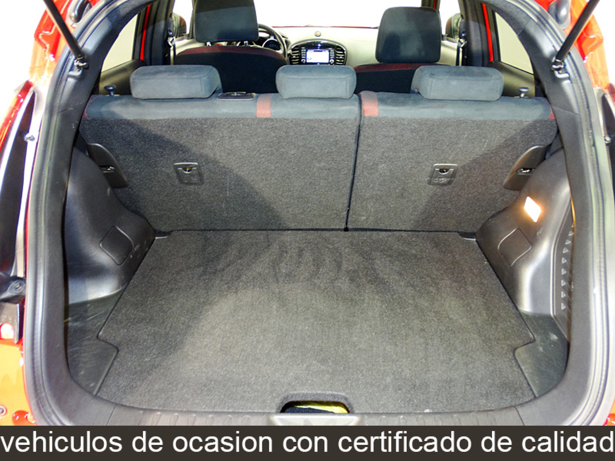 Foto Nissan Juke 14