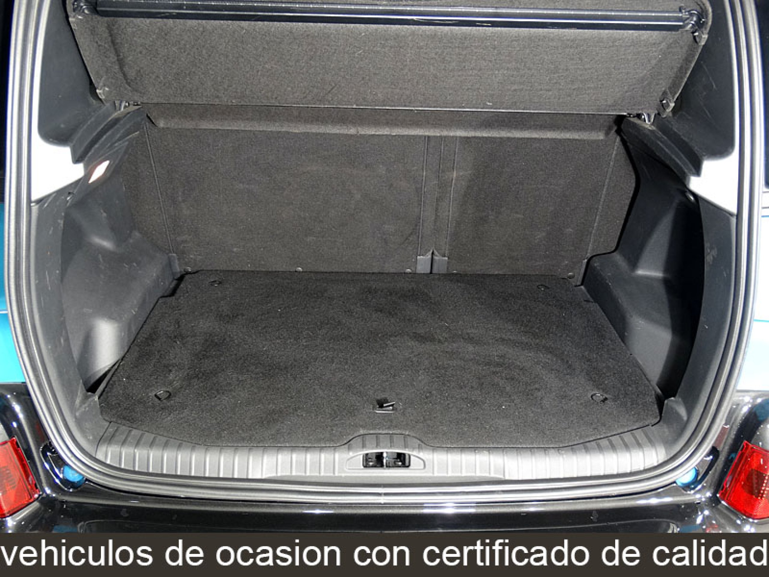 Foto Citroen C3 Picasso 14