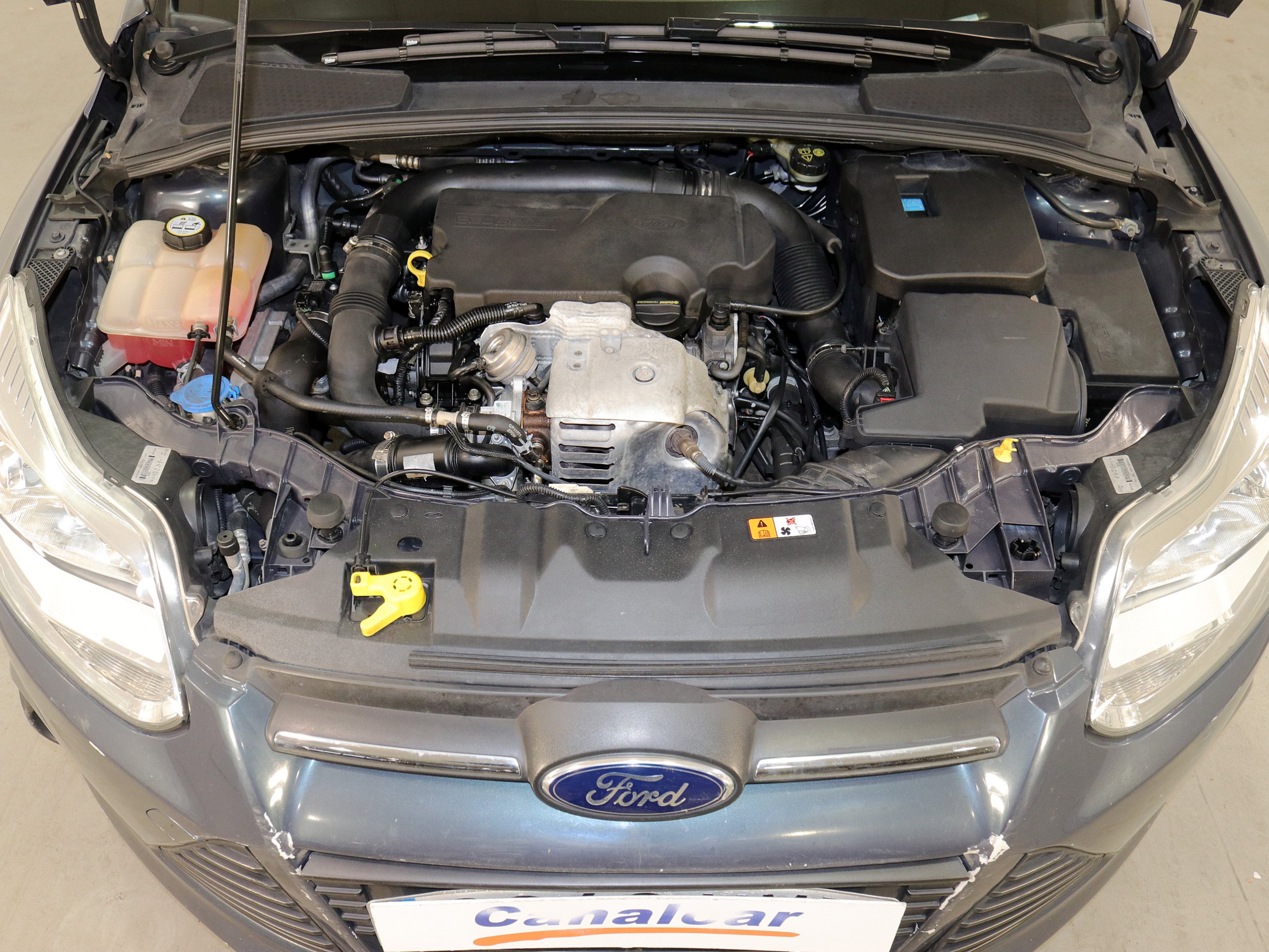 Foto Ford Focus 8