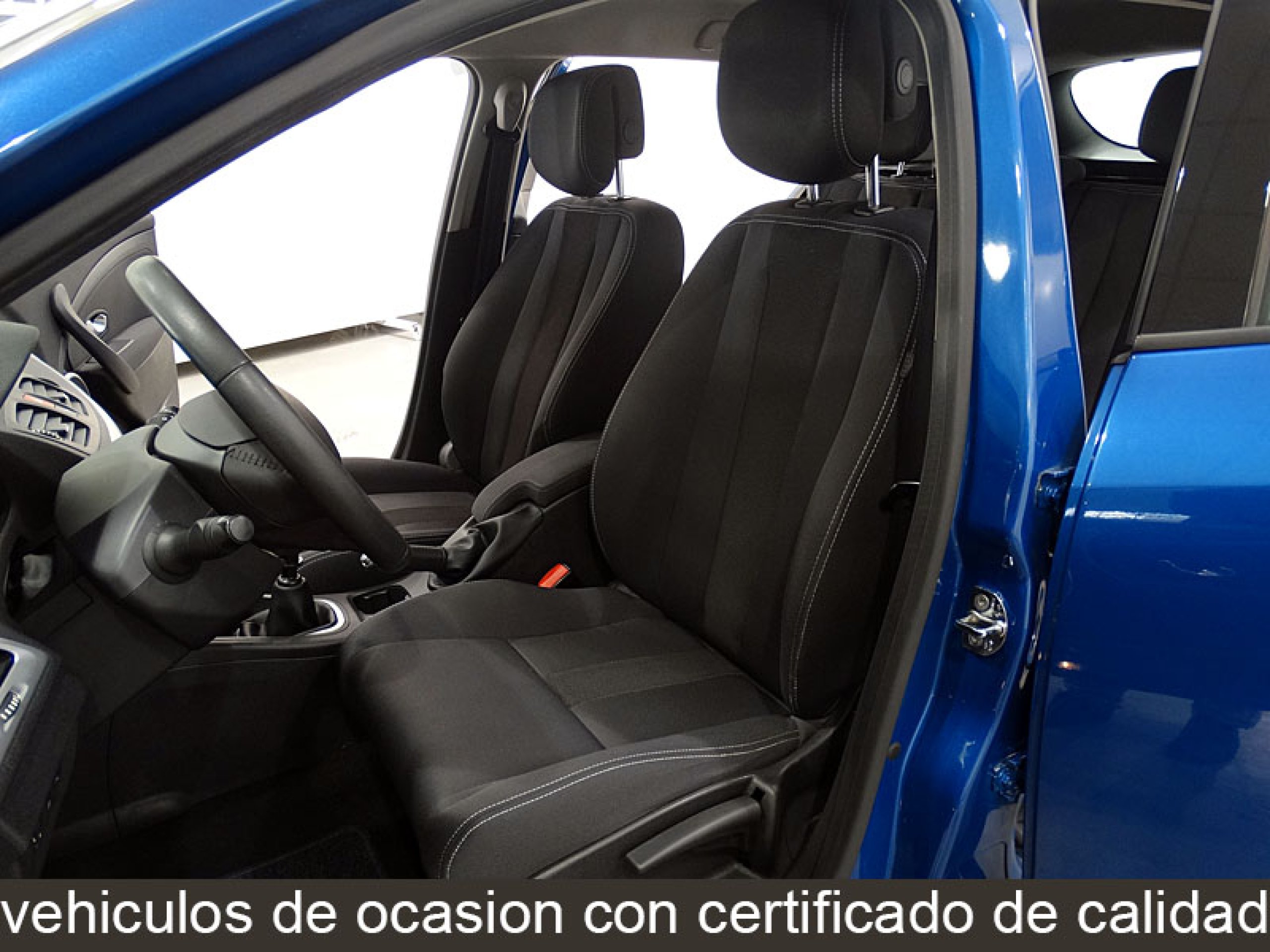 Foto Renault Megane 18