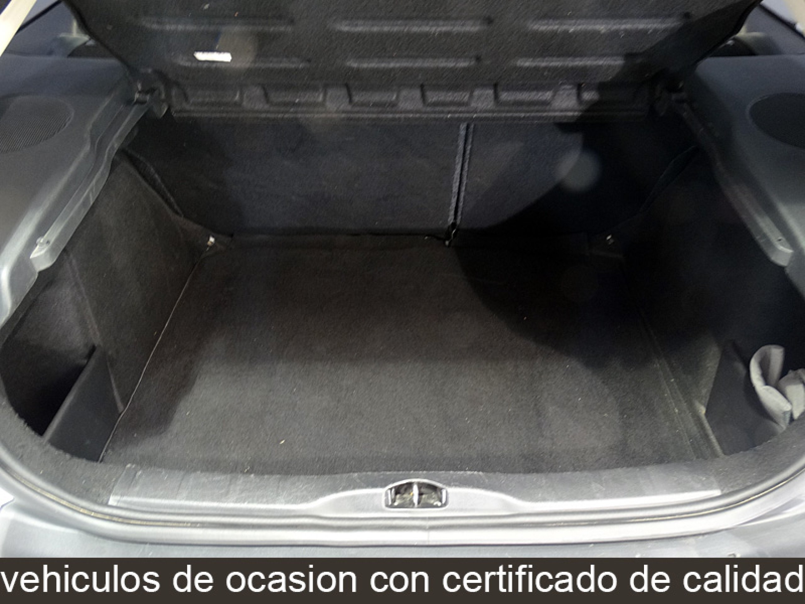 Foto Citroen C4 20