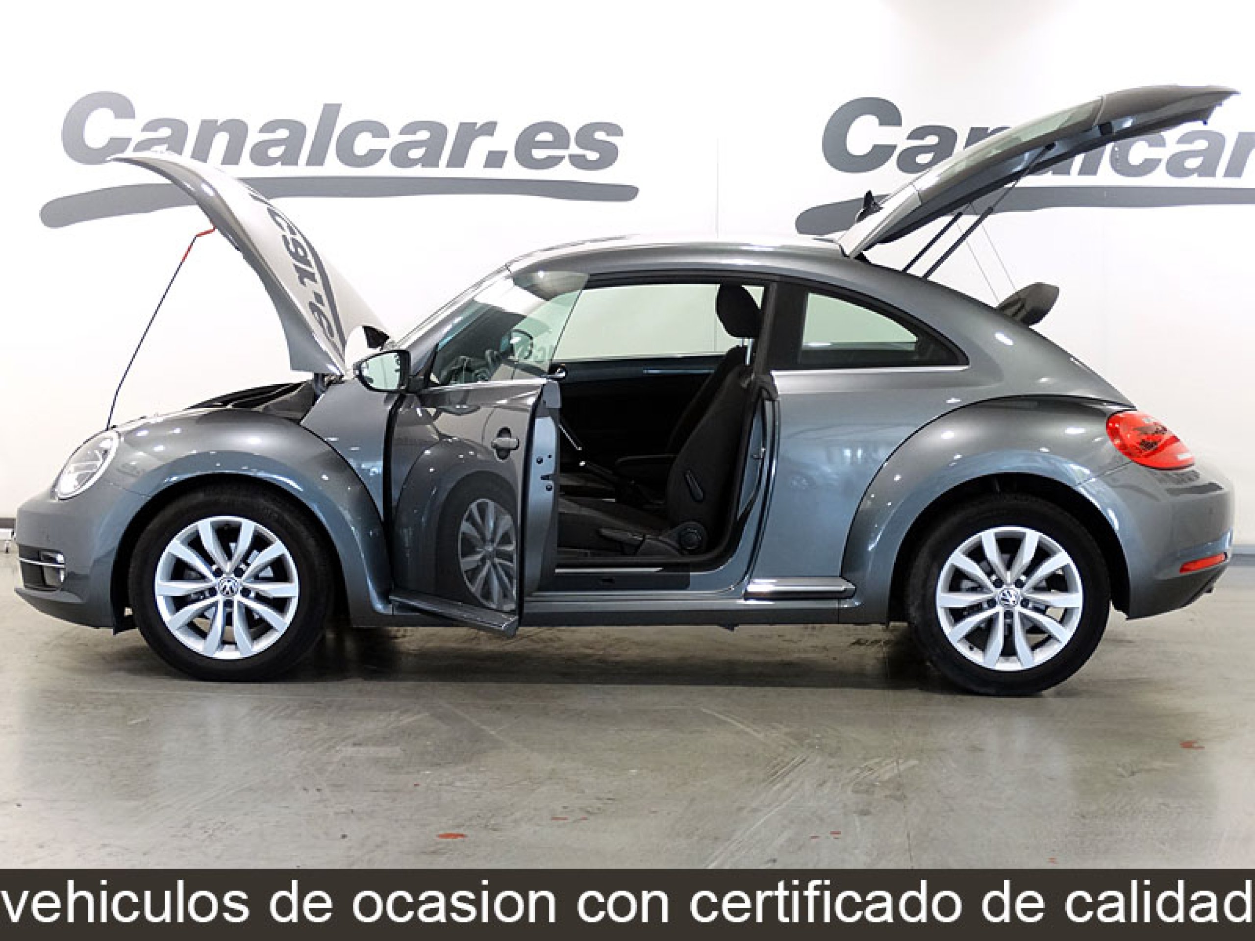 Foto Volkswagen Beetle 11