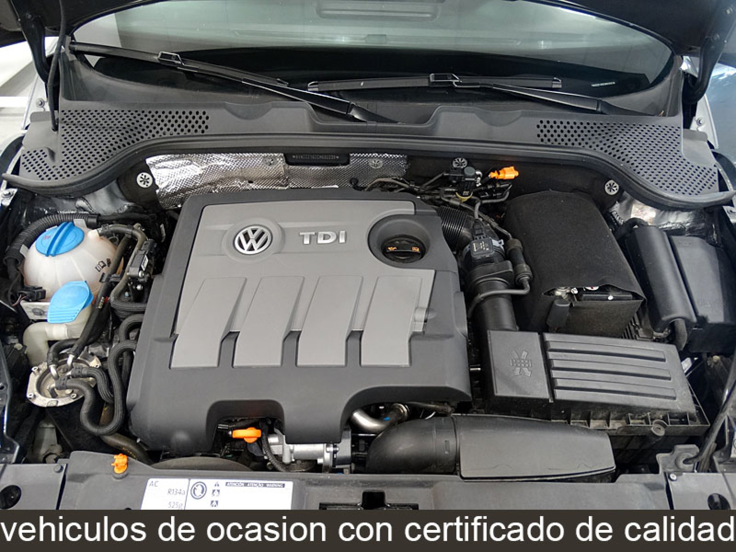 Foto Volkswagen Beetle 12